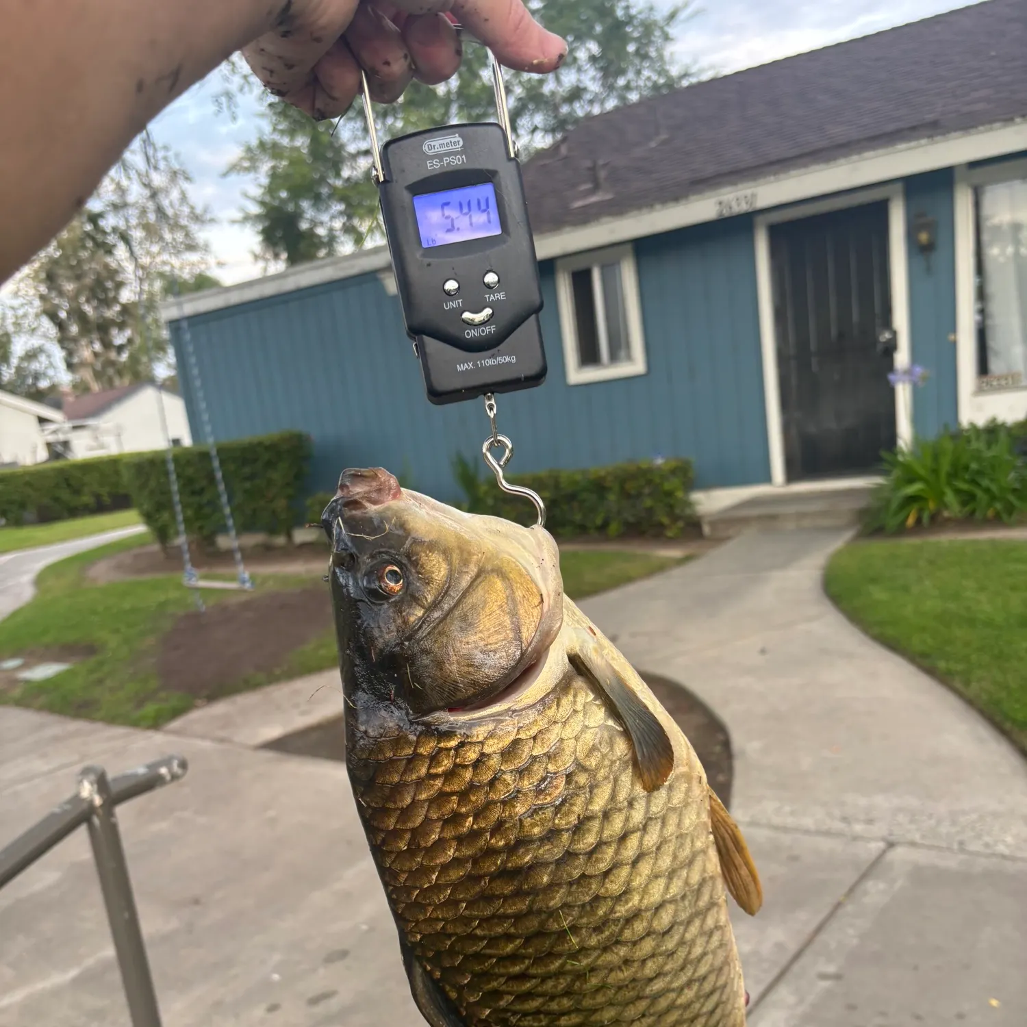 most liked catch image