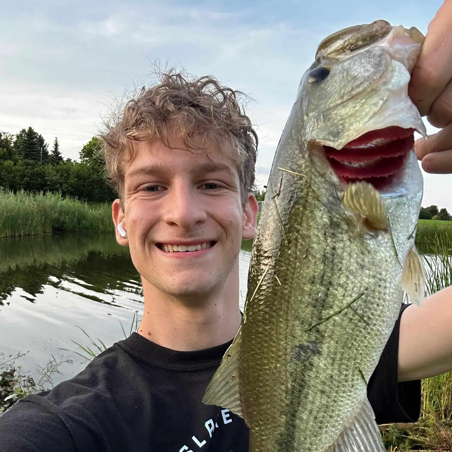 Largemouth bass caught on Fishbrain