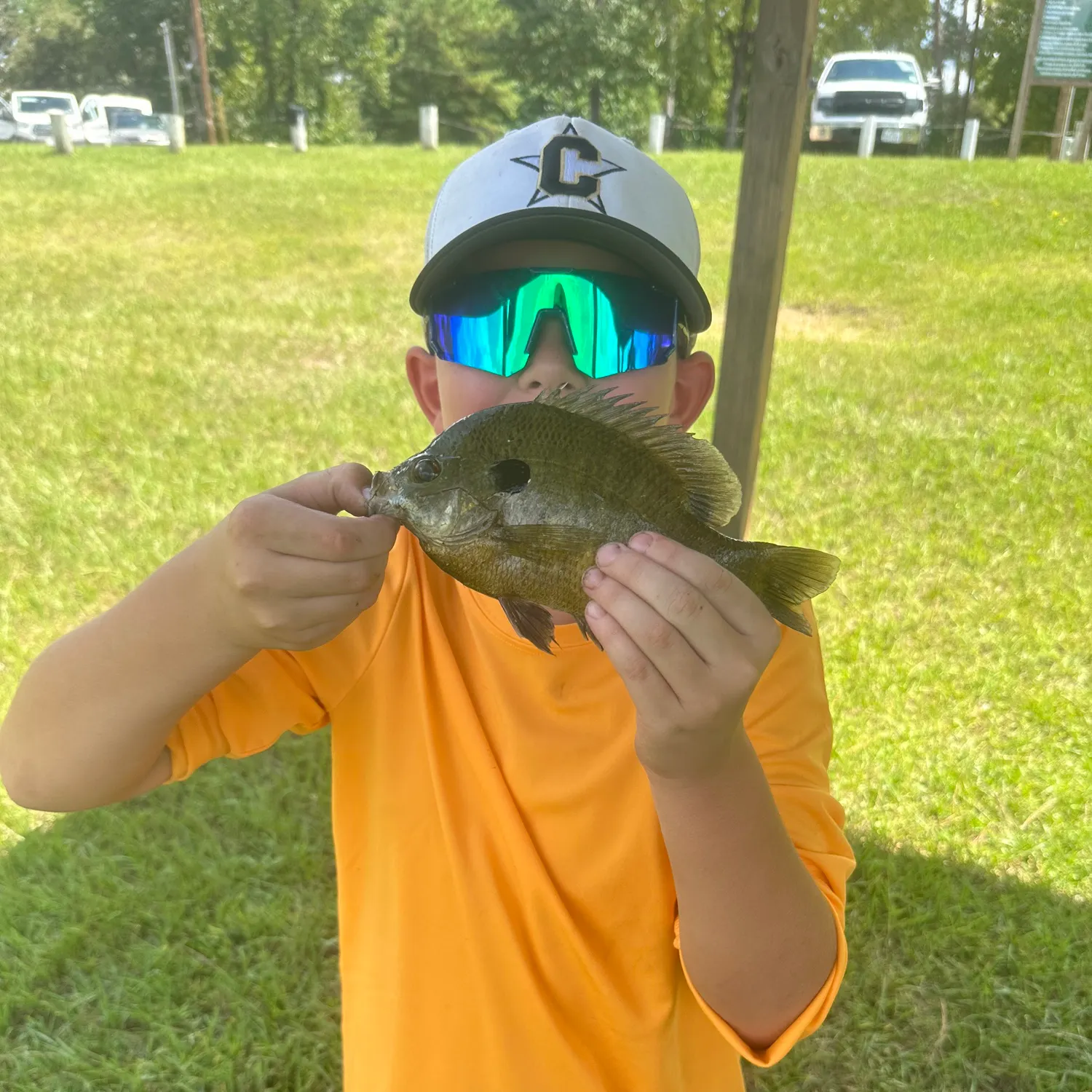 Bluegill caught on Fishbrain