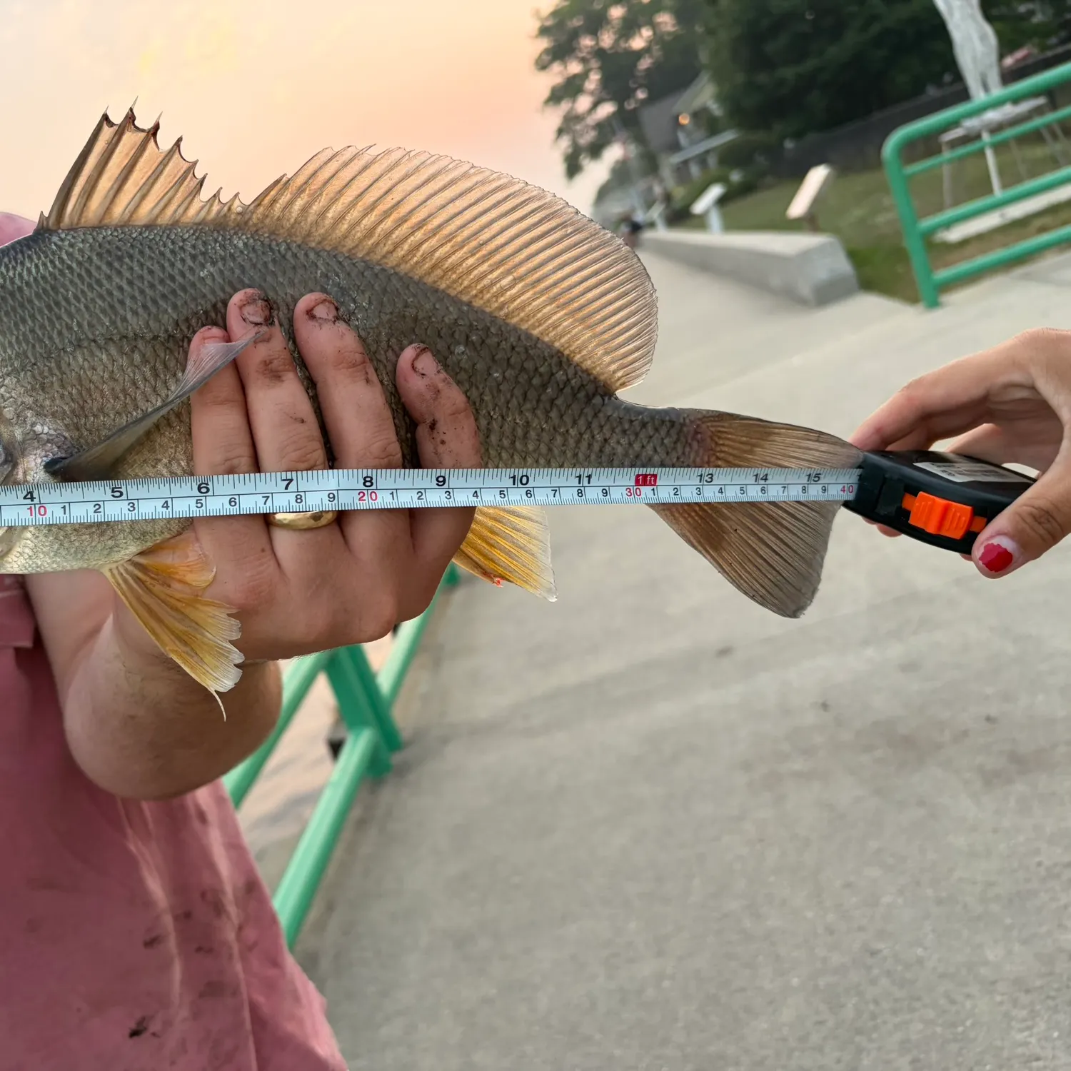 catch