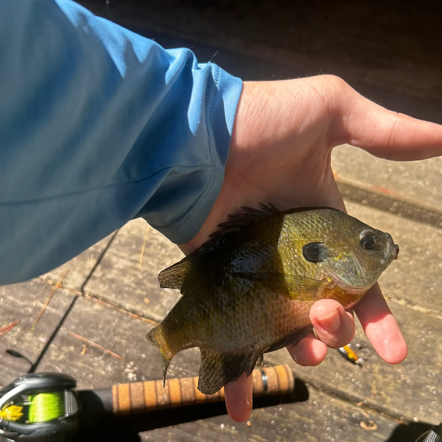 catch