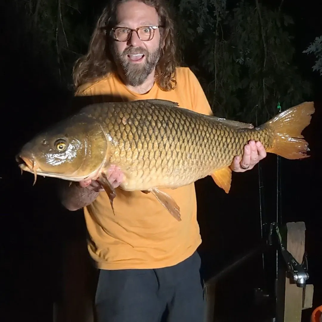 angler catch