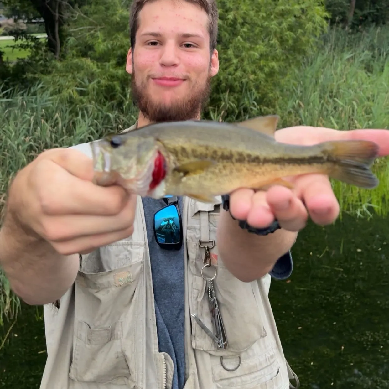 Fish caught on Fishbrain