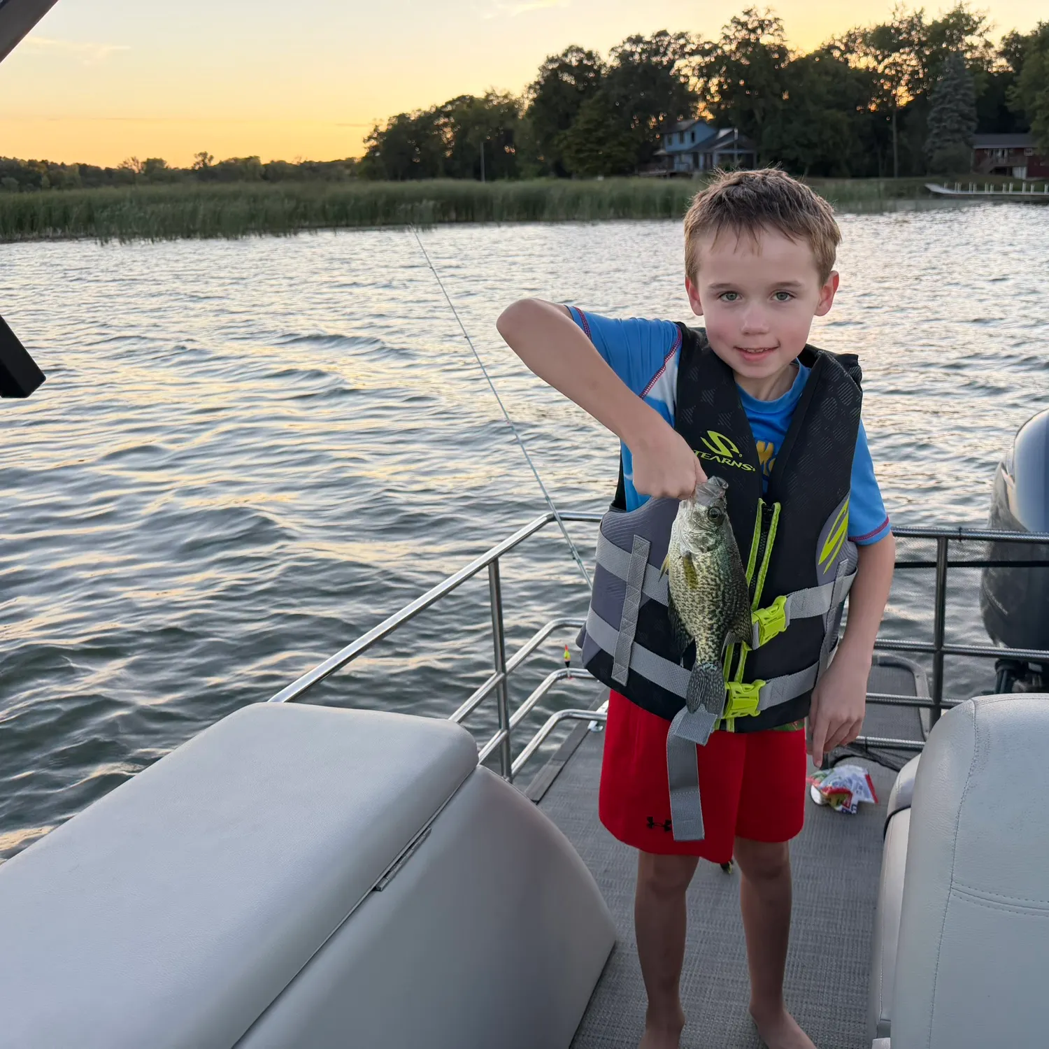 Black crappie caught on Fishbrain