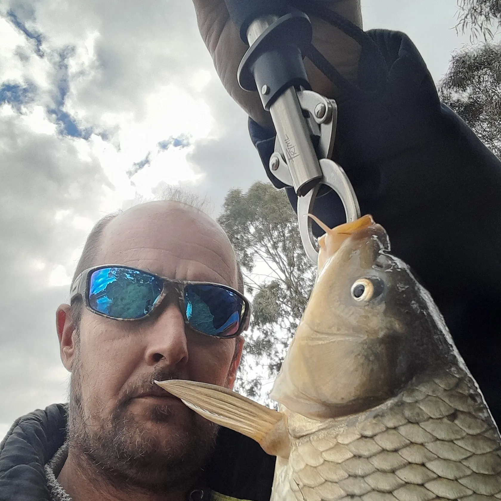 Common carp caught on Fishbrain