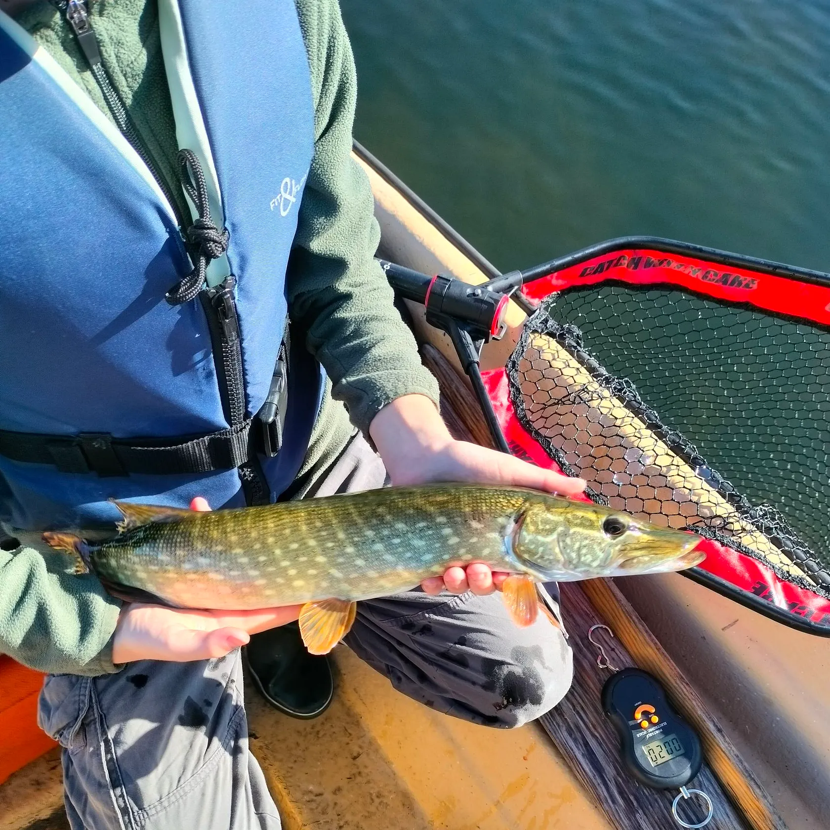 Northern pike caught on Fishbrain