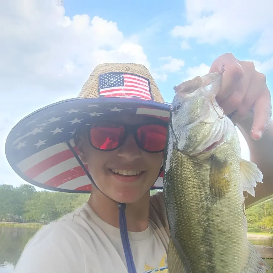 Largemouth bass caught on Fishbrain