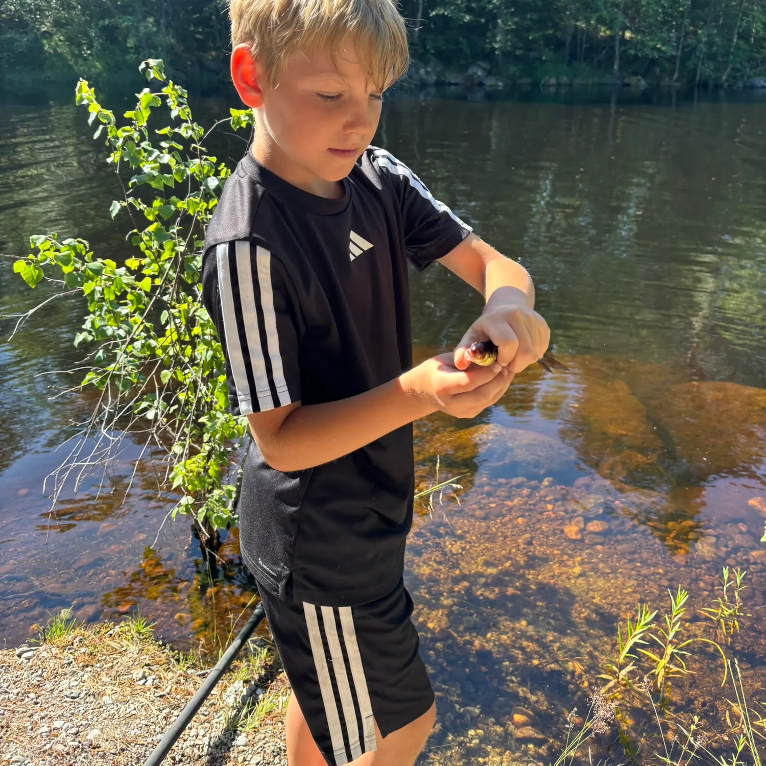 Goldfish caught on Fishbrain
