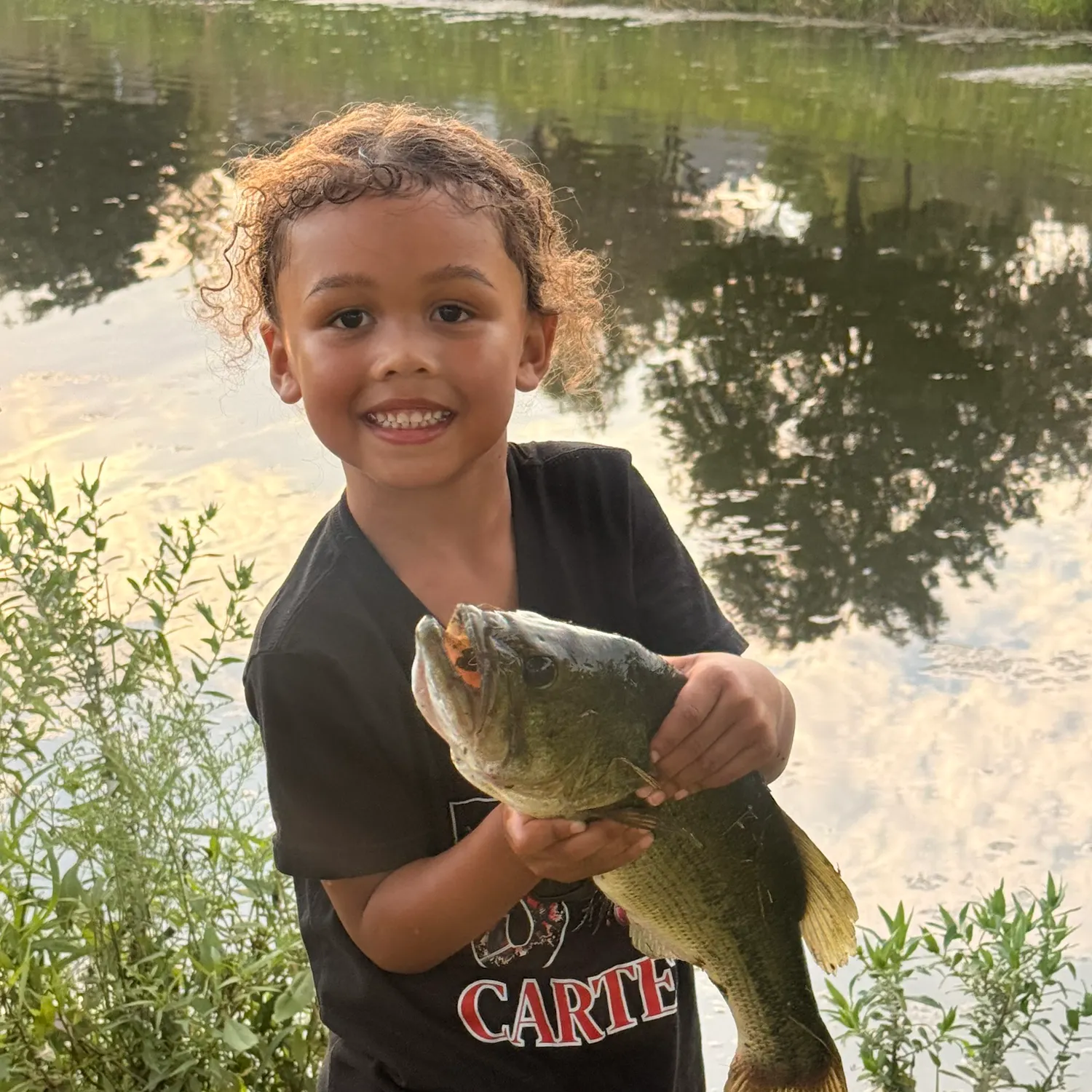 Largemouth bass caught on Fishbrain