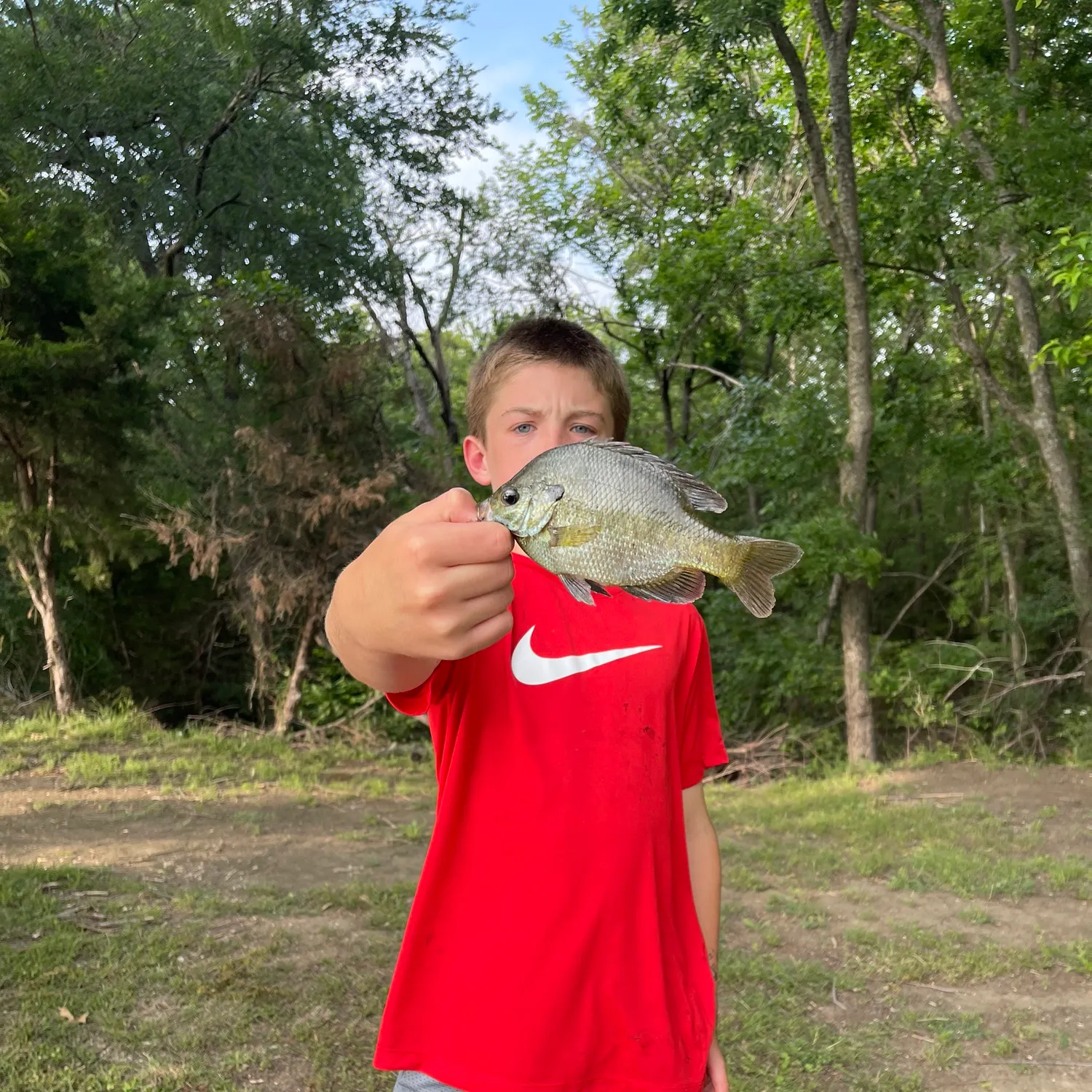 The most recent Bluegill catches on Fishbrain