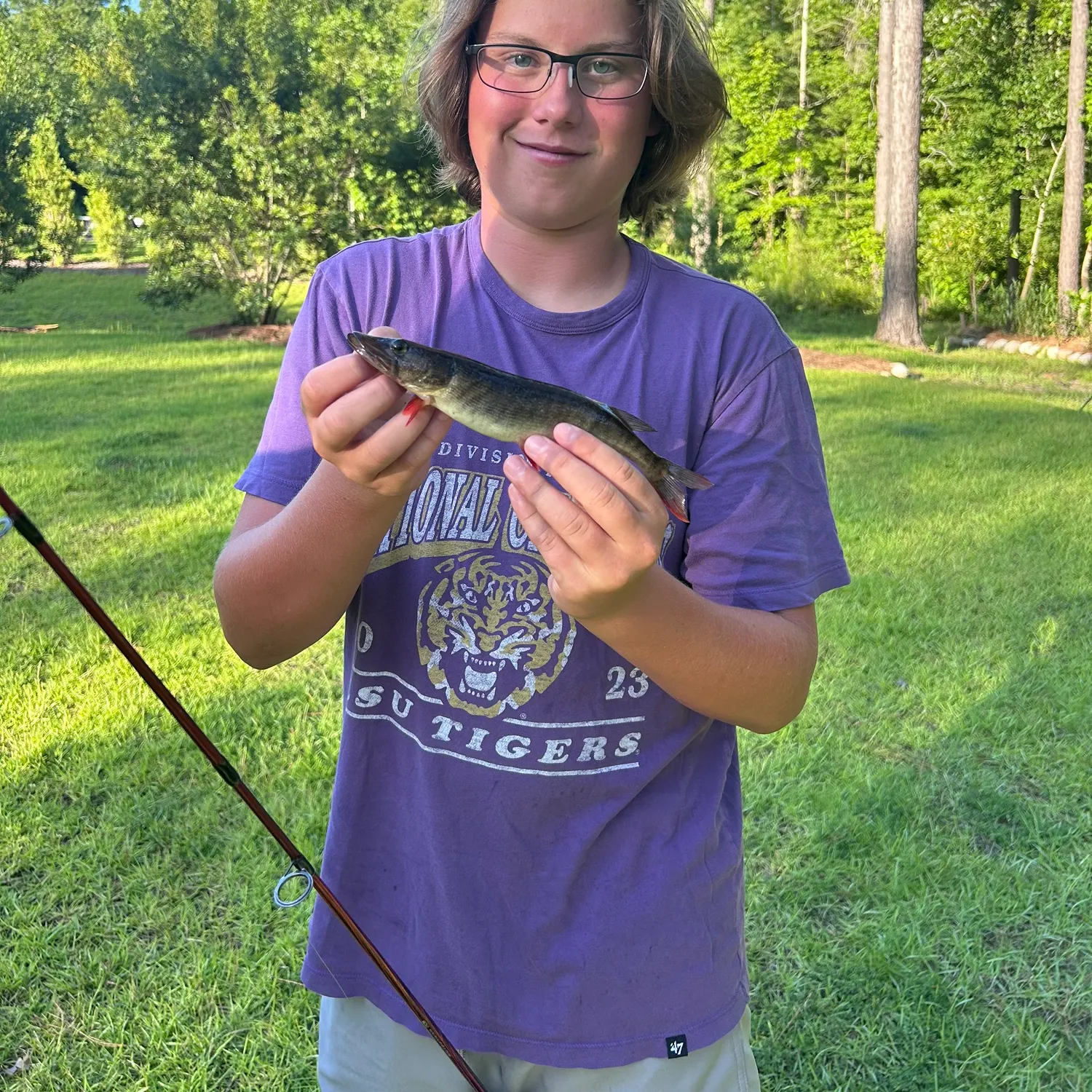 The most recent Redfin pickerel catches on Fishbrain