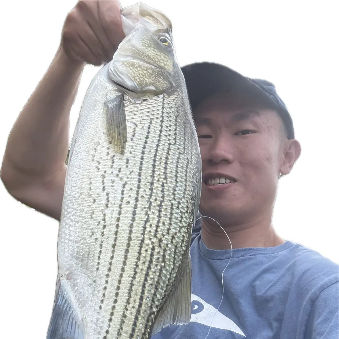 Wiper caught on Fishbrain