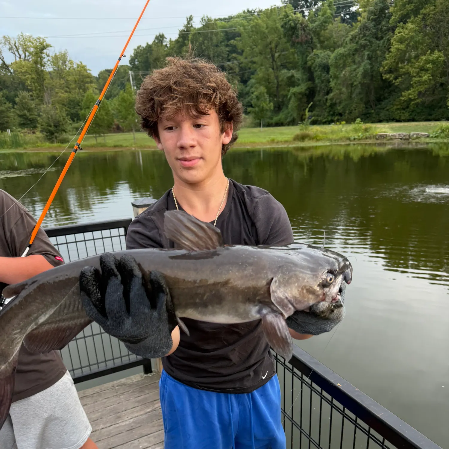 Channel catfish caught on Fishbrain