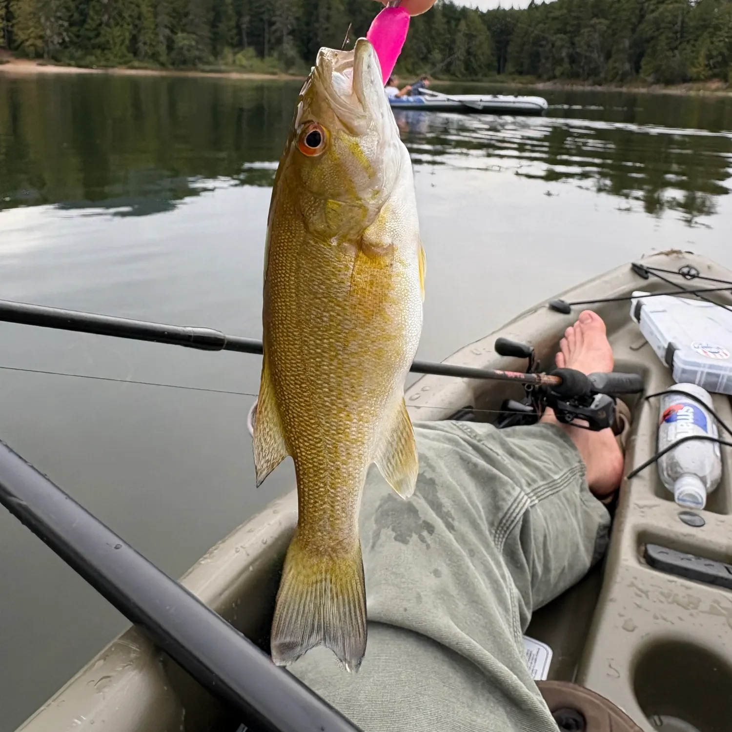 Smallmouth bass caught on Fishbrain