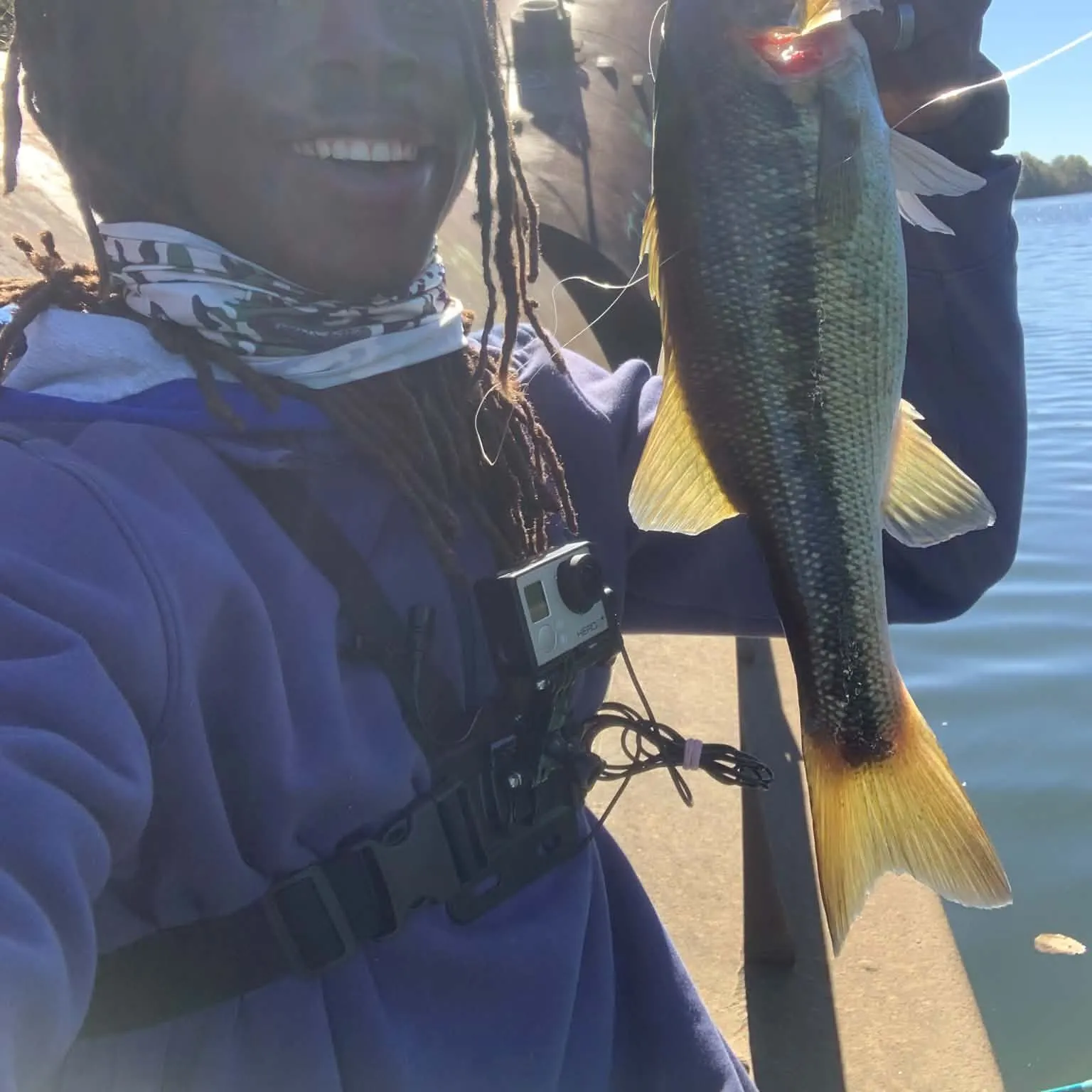 Spotted bass caught on Fishbrain