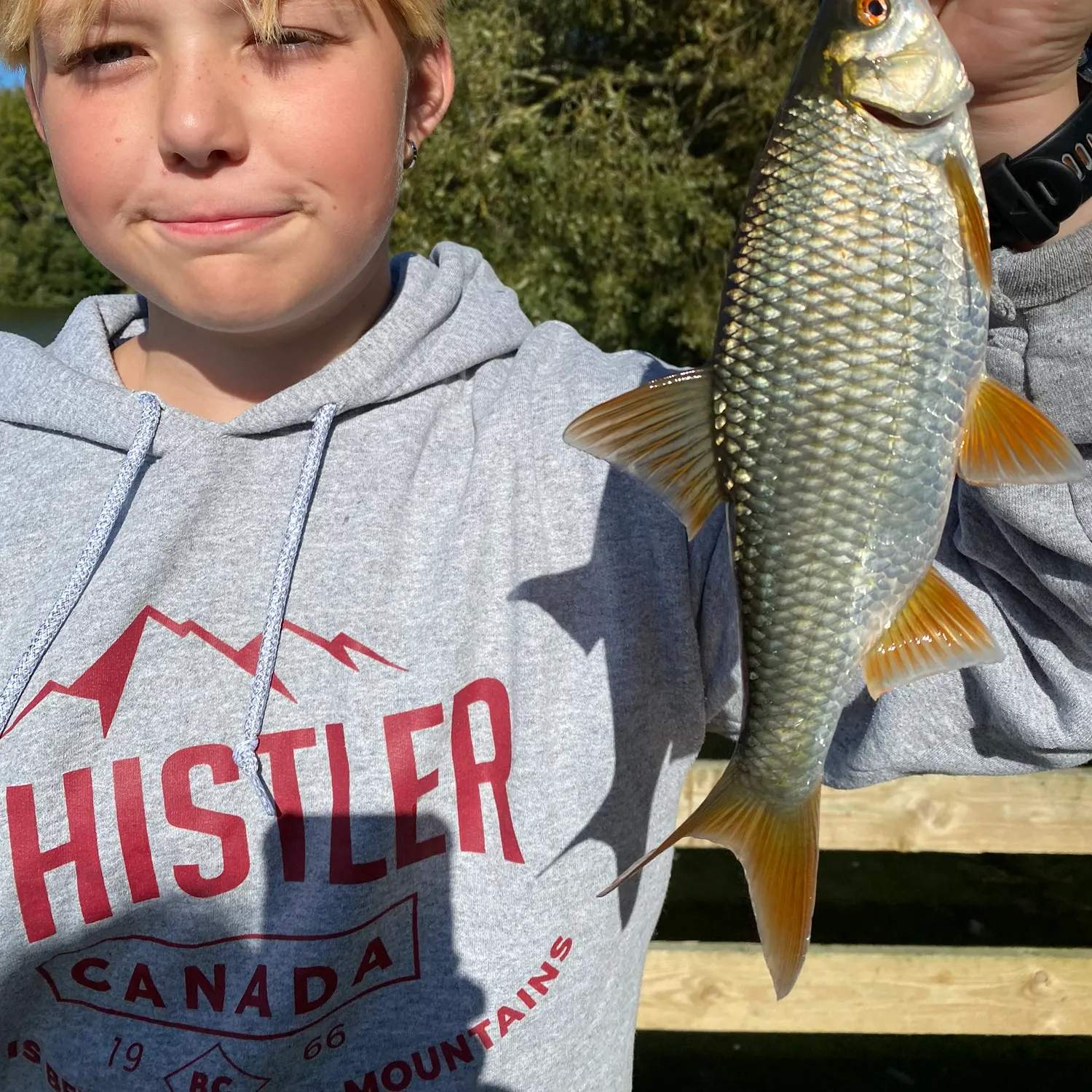 Common roach caught on Fishbrain
