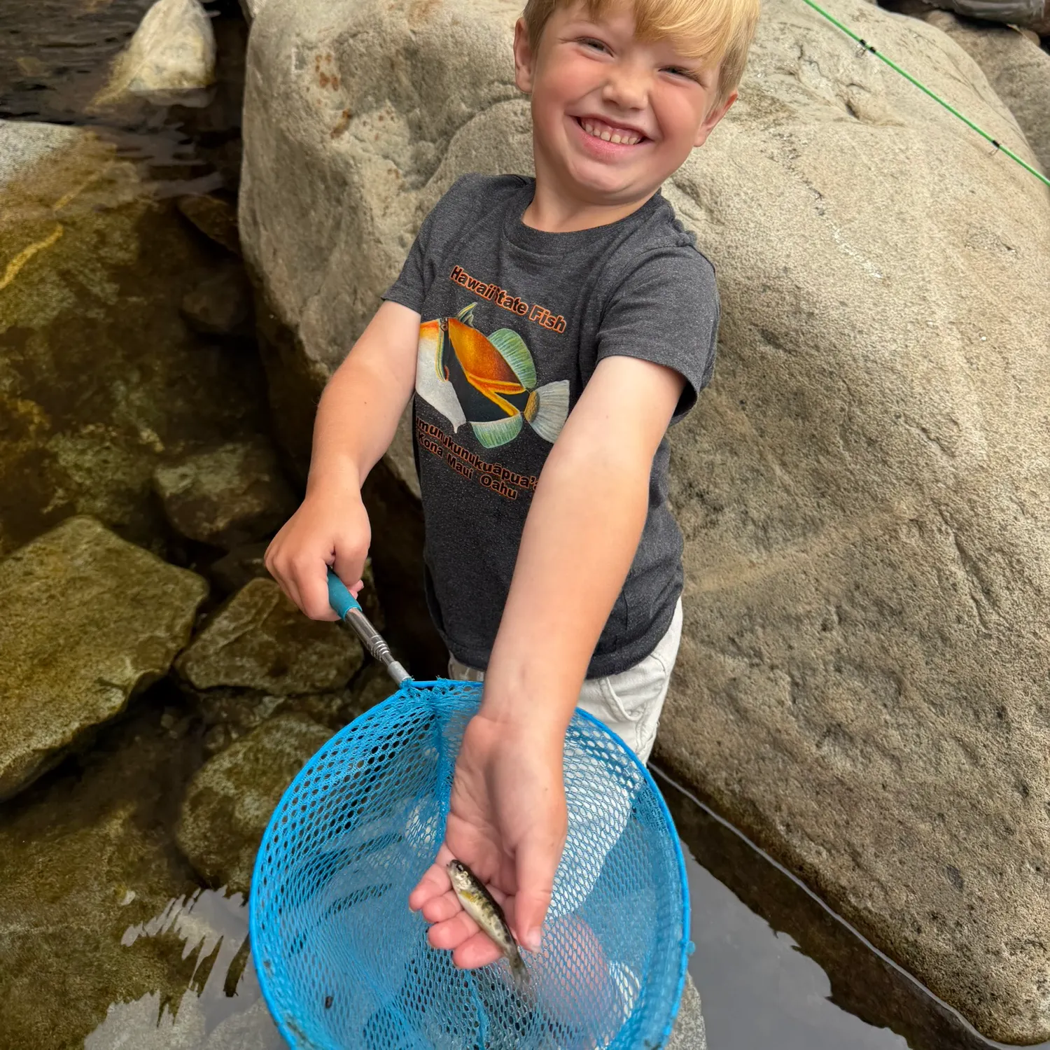 Rainbow trout caught on Fishbrain