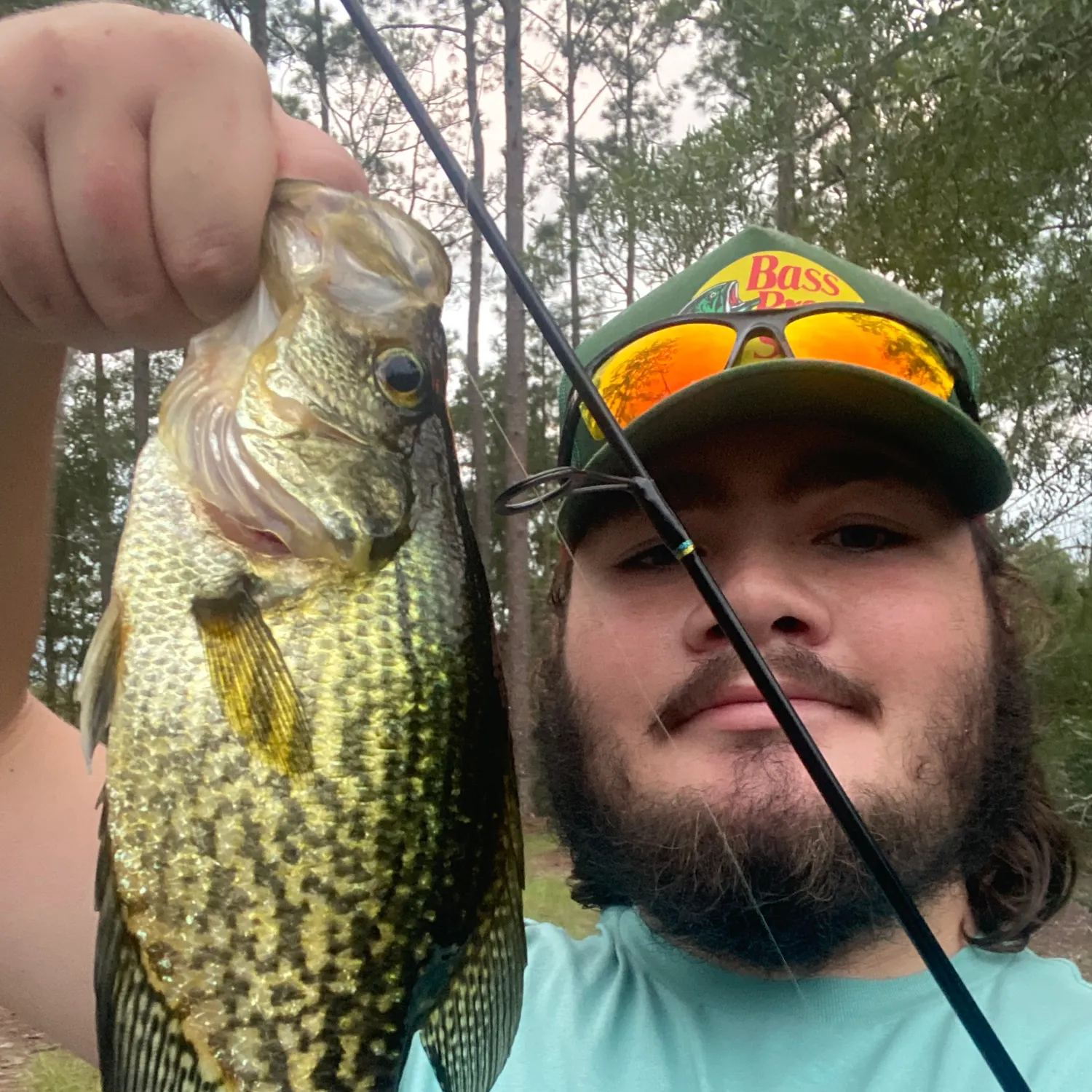 Black crappie caught on Fishbrain