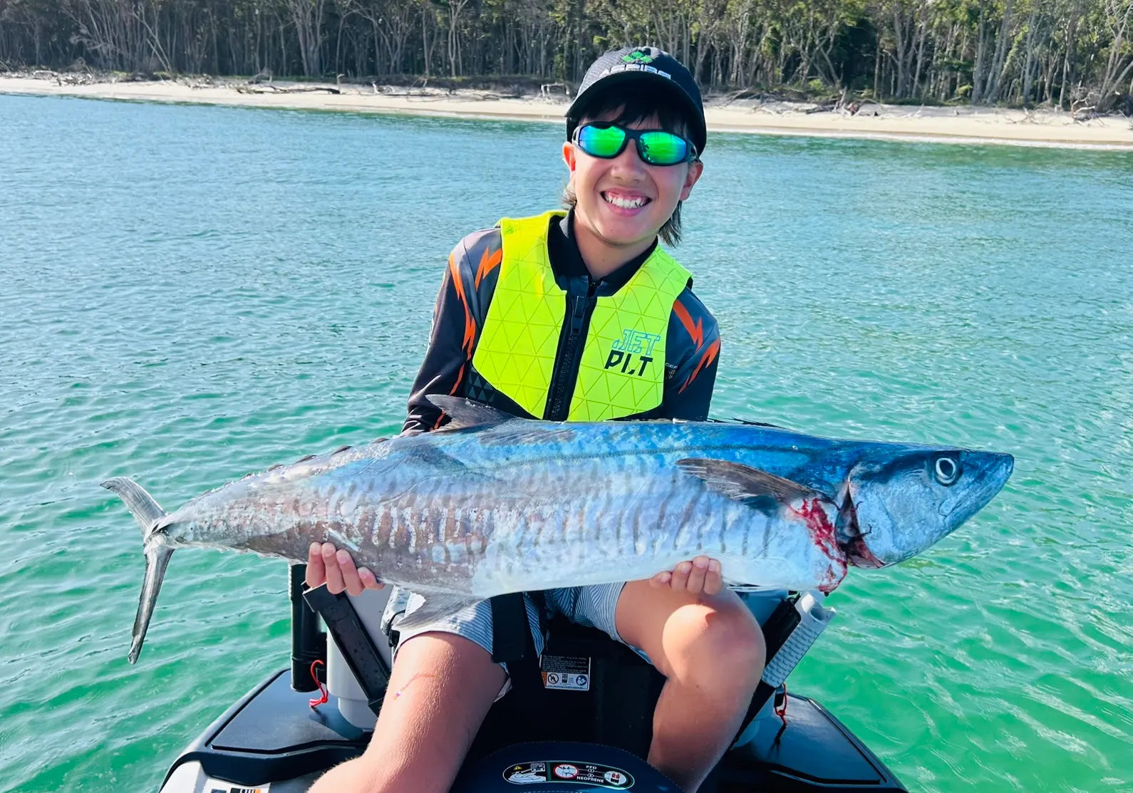 Narrow-barred Spanish mackerel