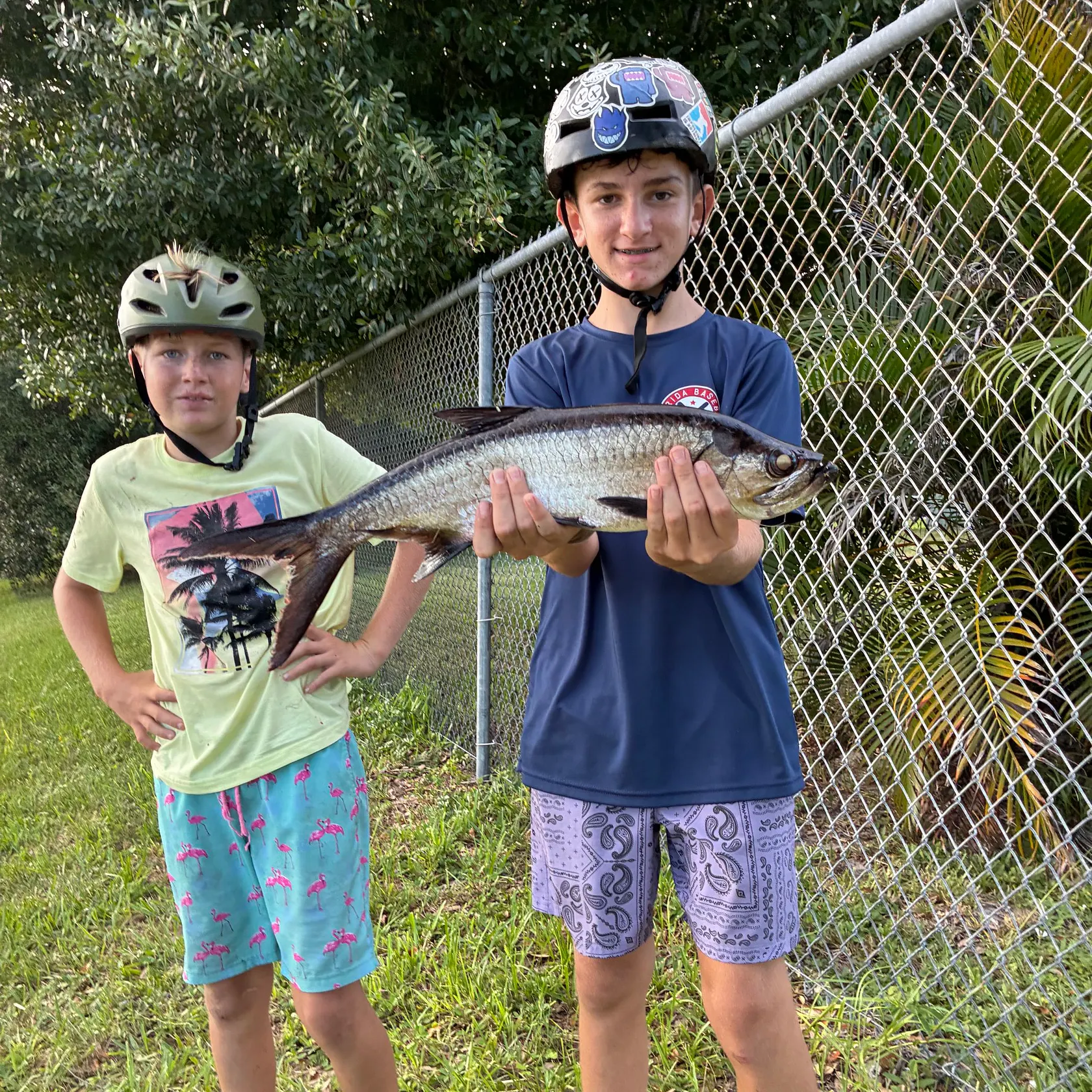 Tarpon caught on Fishbrain