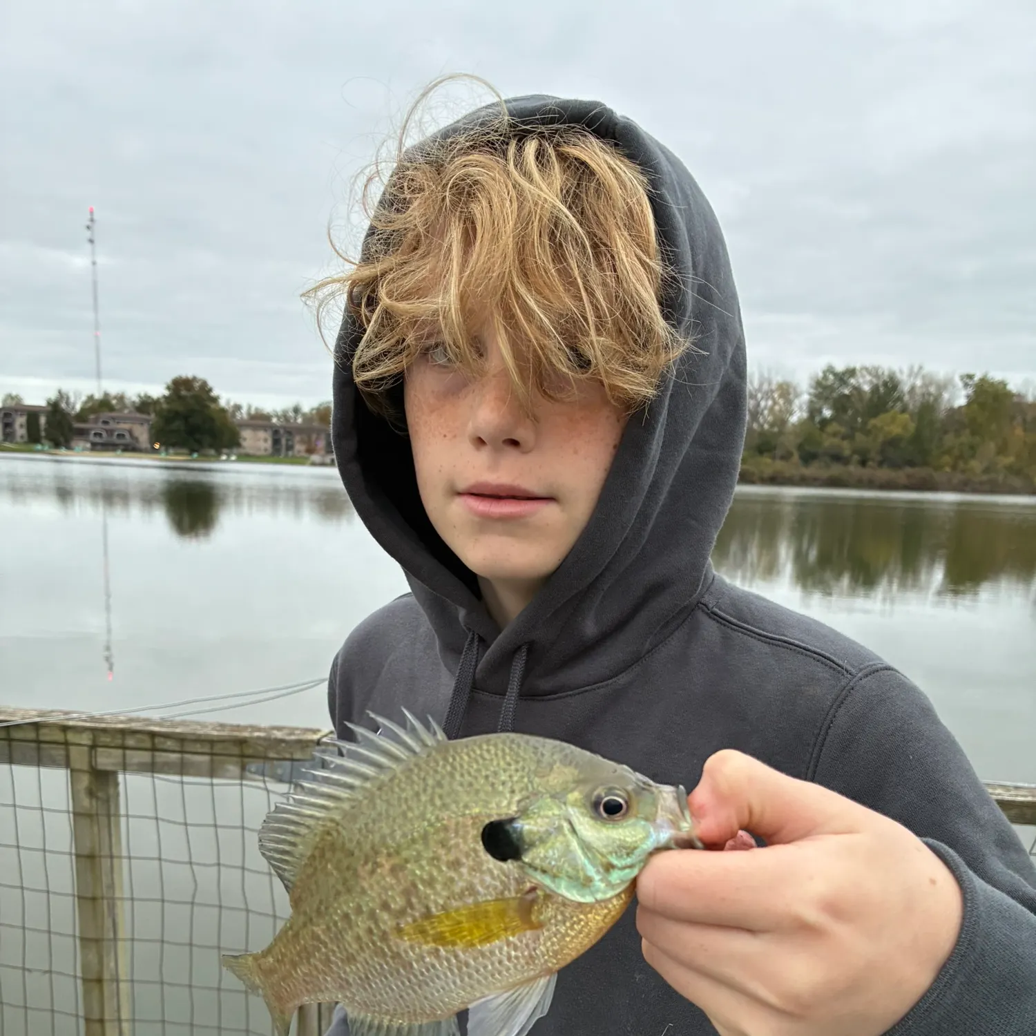 Bluegill caught on Fishbrain