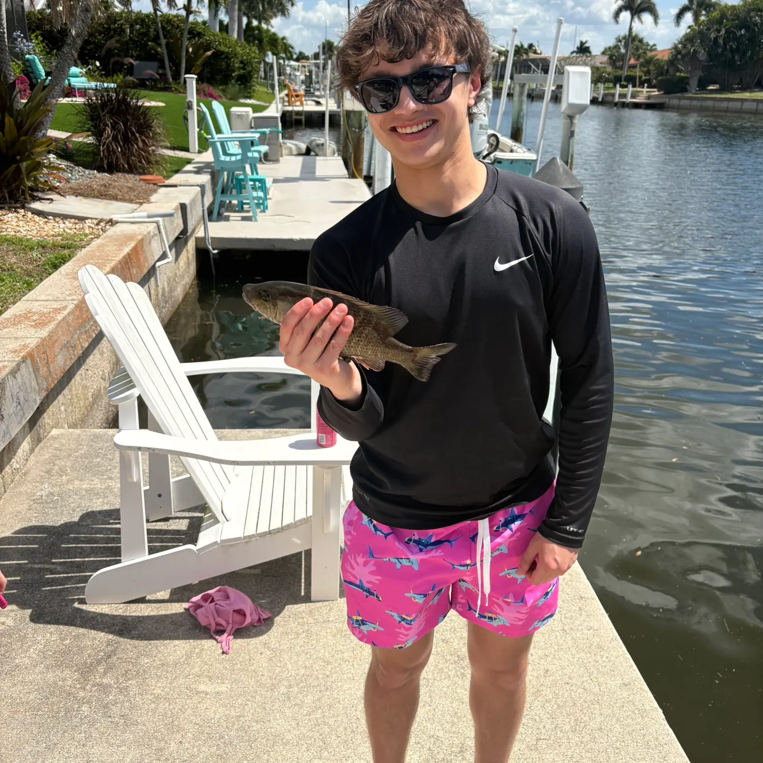 The most recent Black sea bass catches on Fishbrain