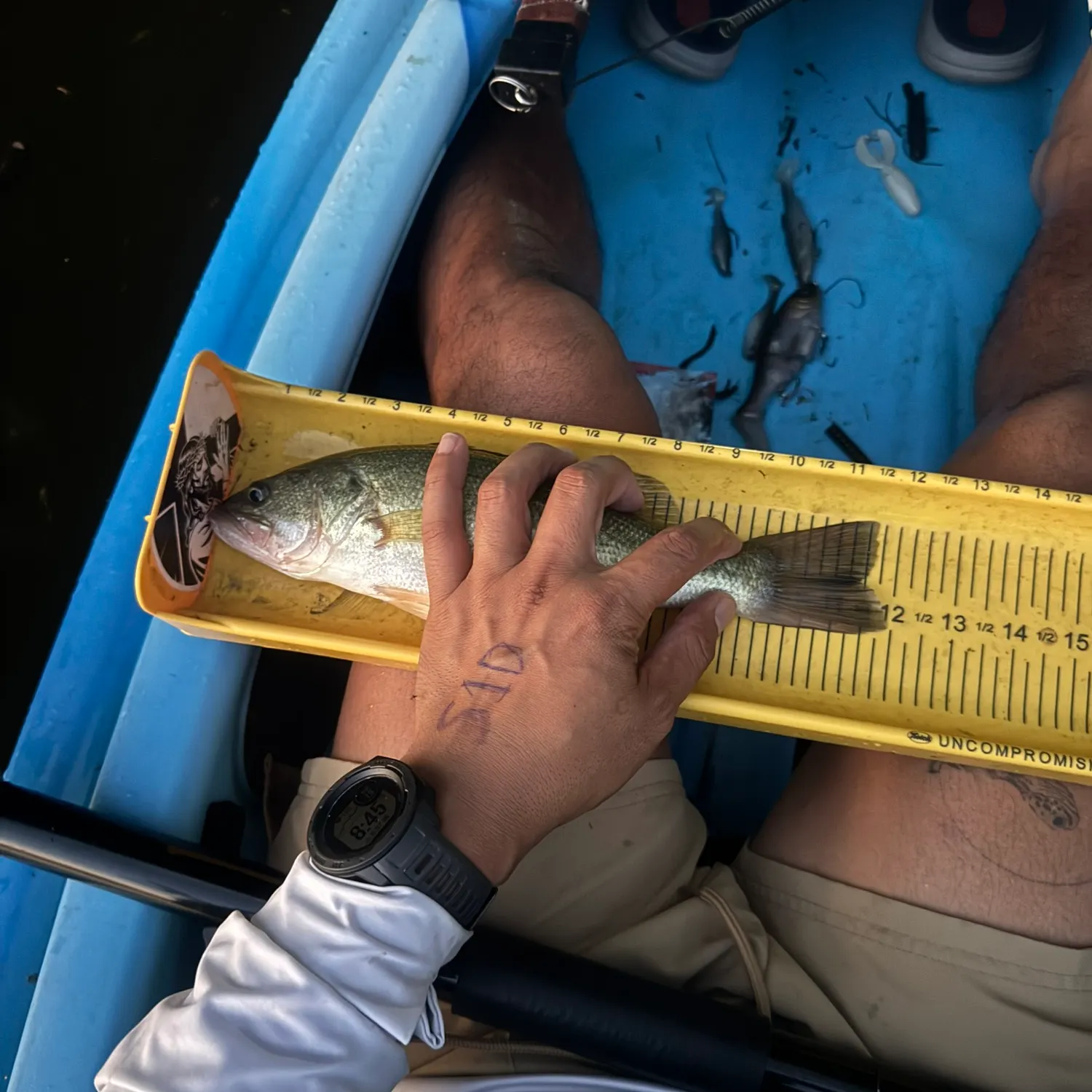 Largemouth bass caught on Fishbrain