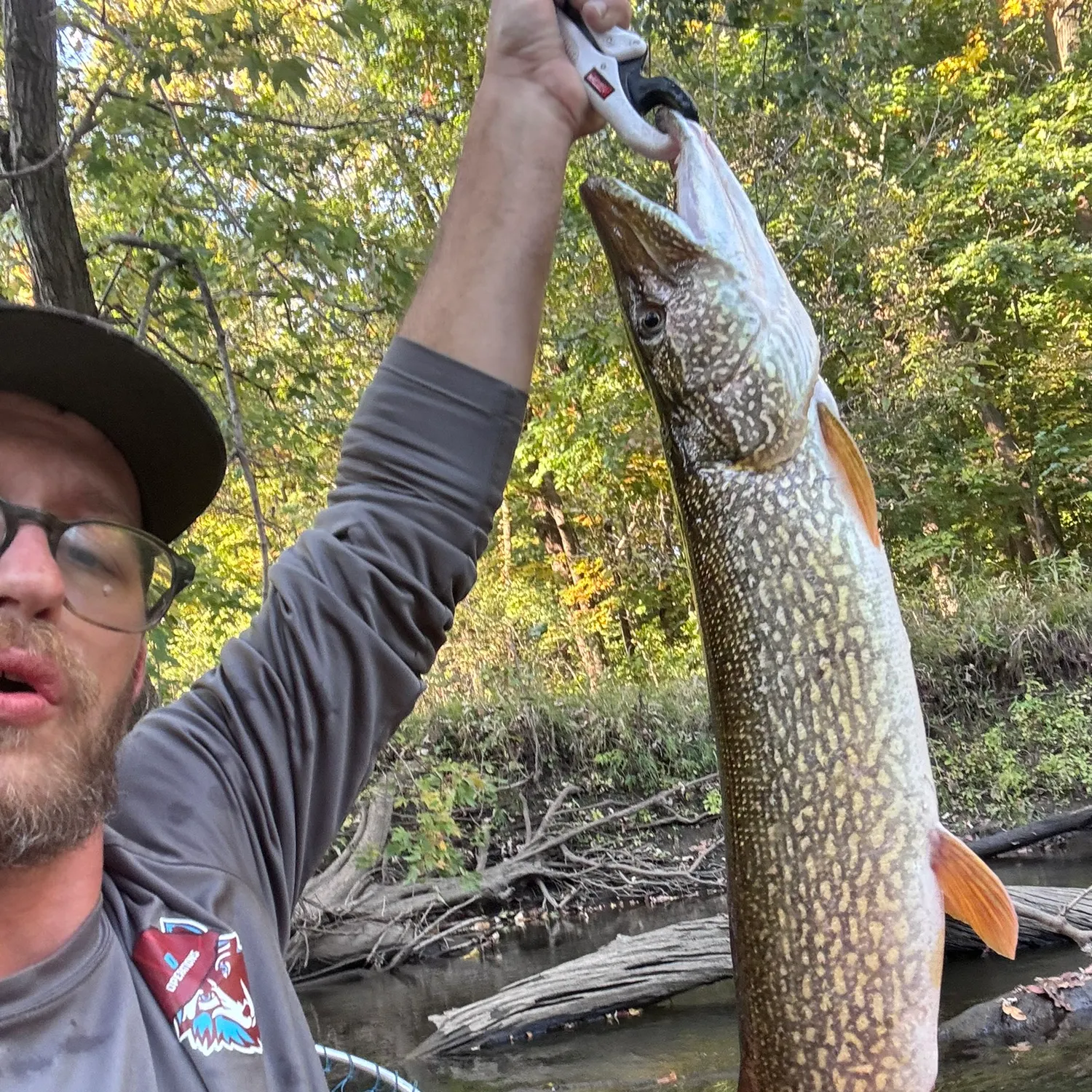 Northern pike caught on Fishbrain