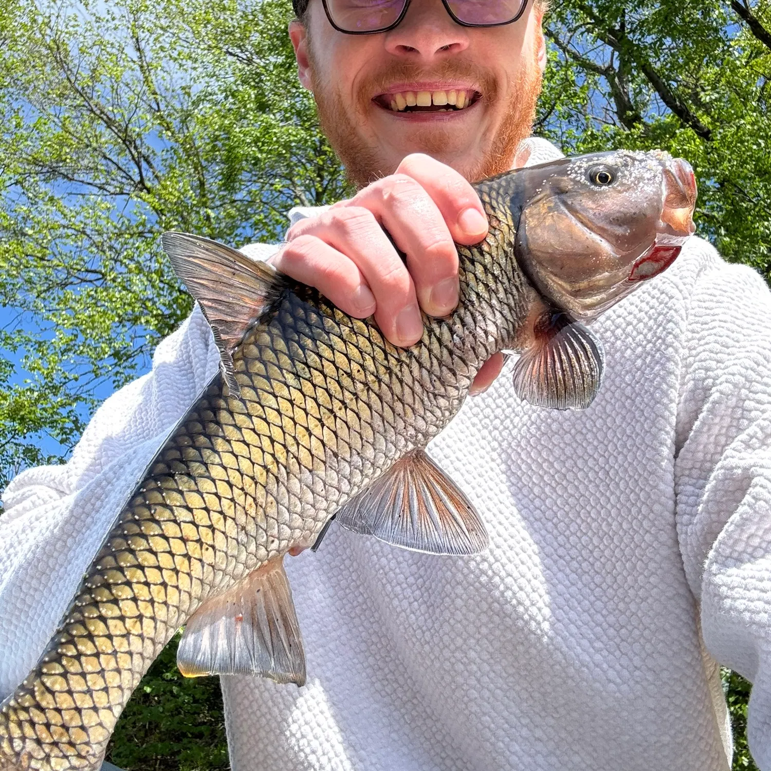 The most recent Fallfish catches on Fishbrain