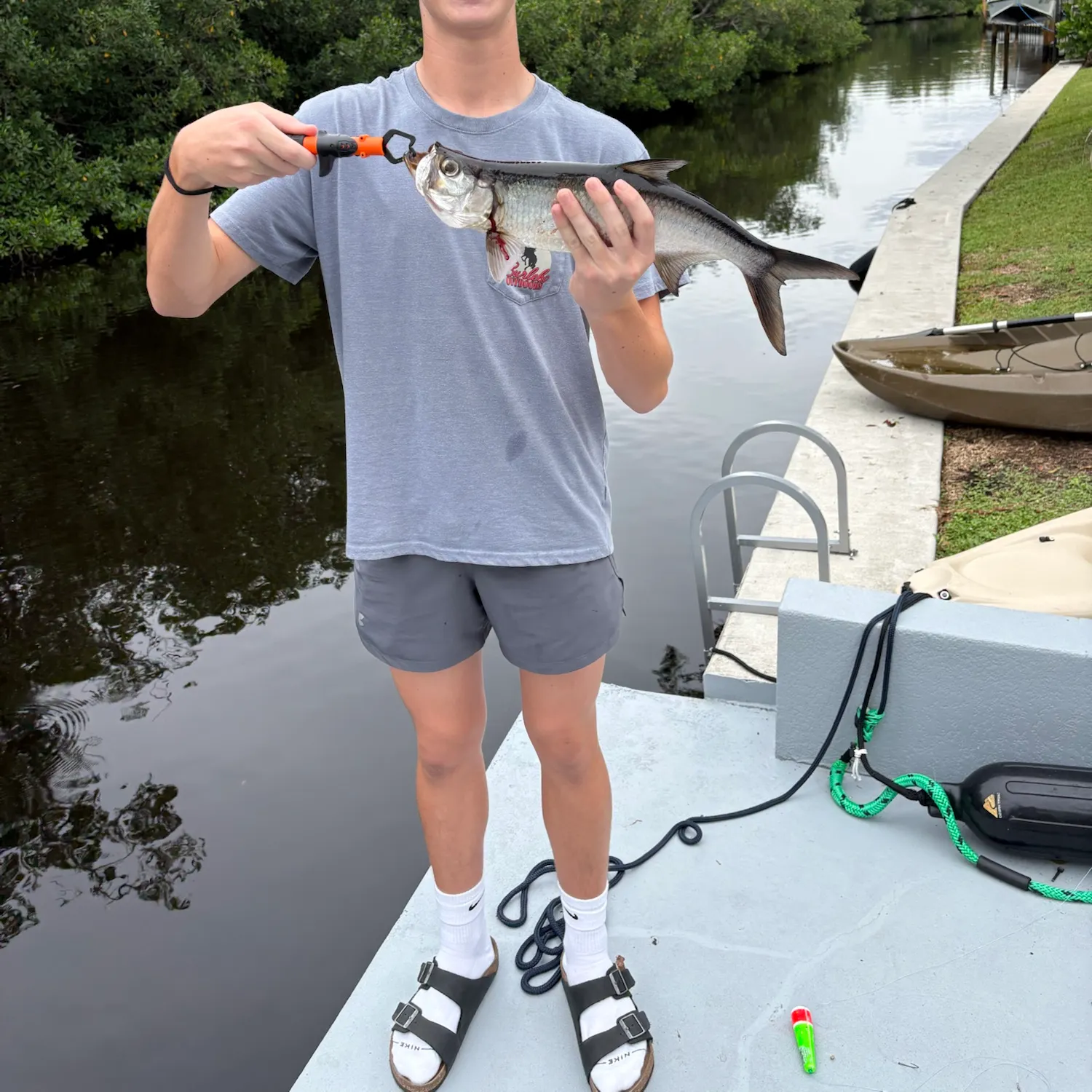 Tarpon caught on Fishbrain