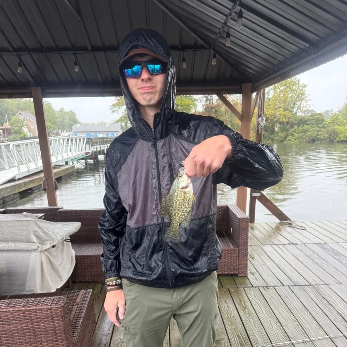 Black crappie caught on Fishbrain