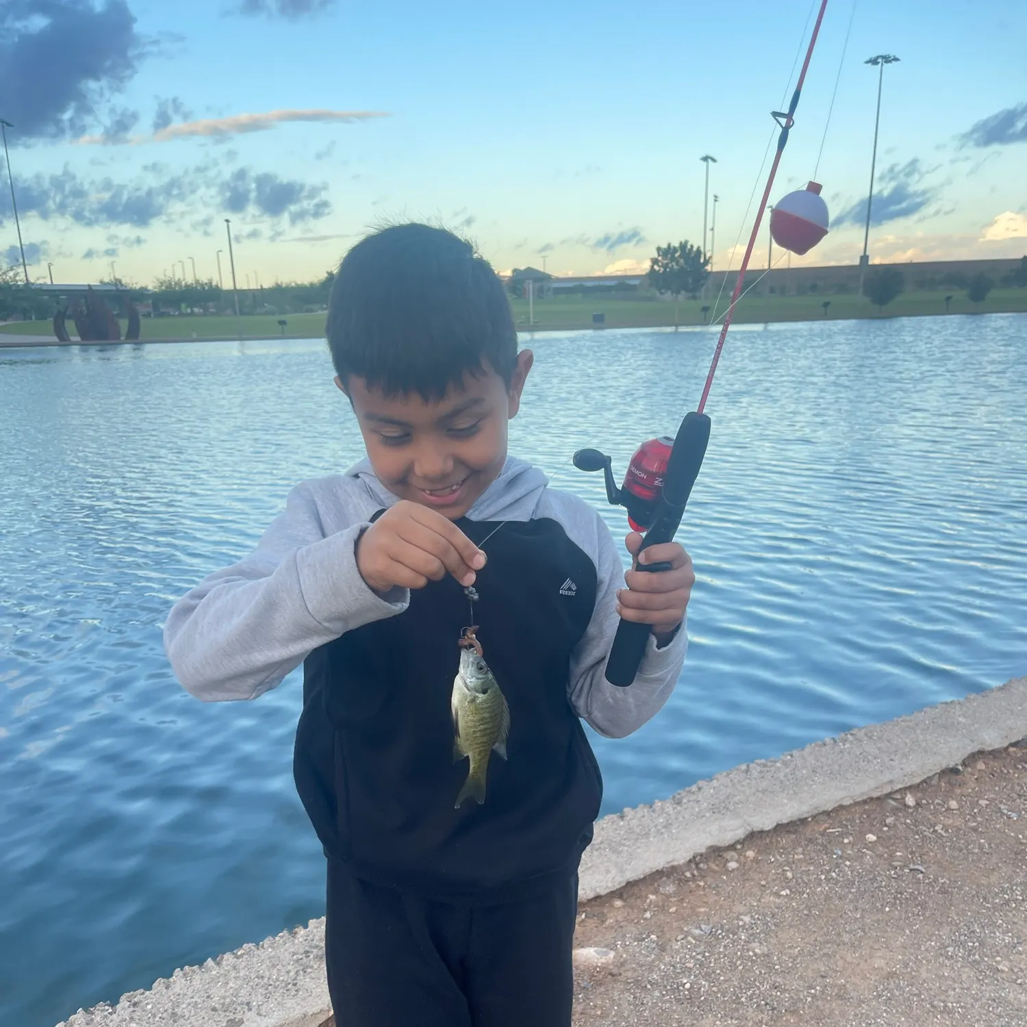 Bluegill caught on Fishbrain