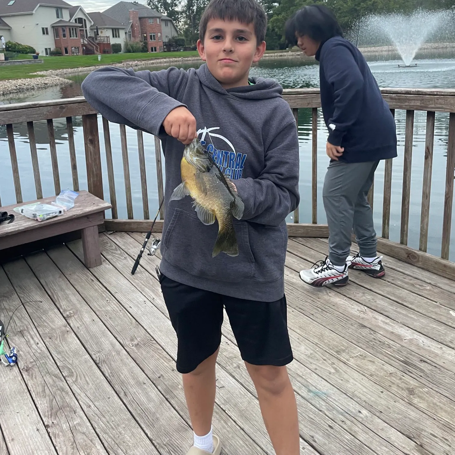 Bluegill caught on Fishbrain