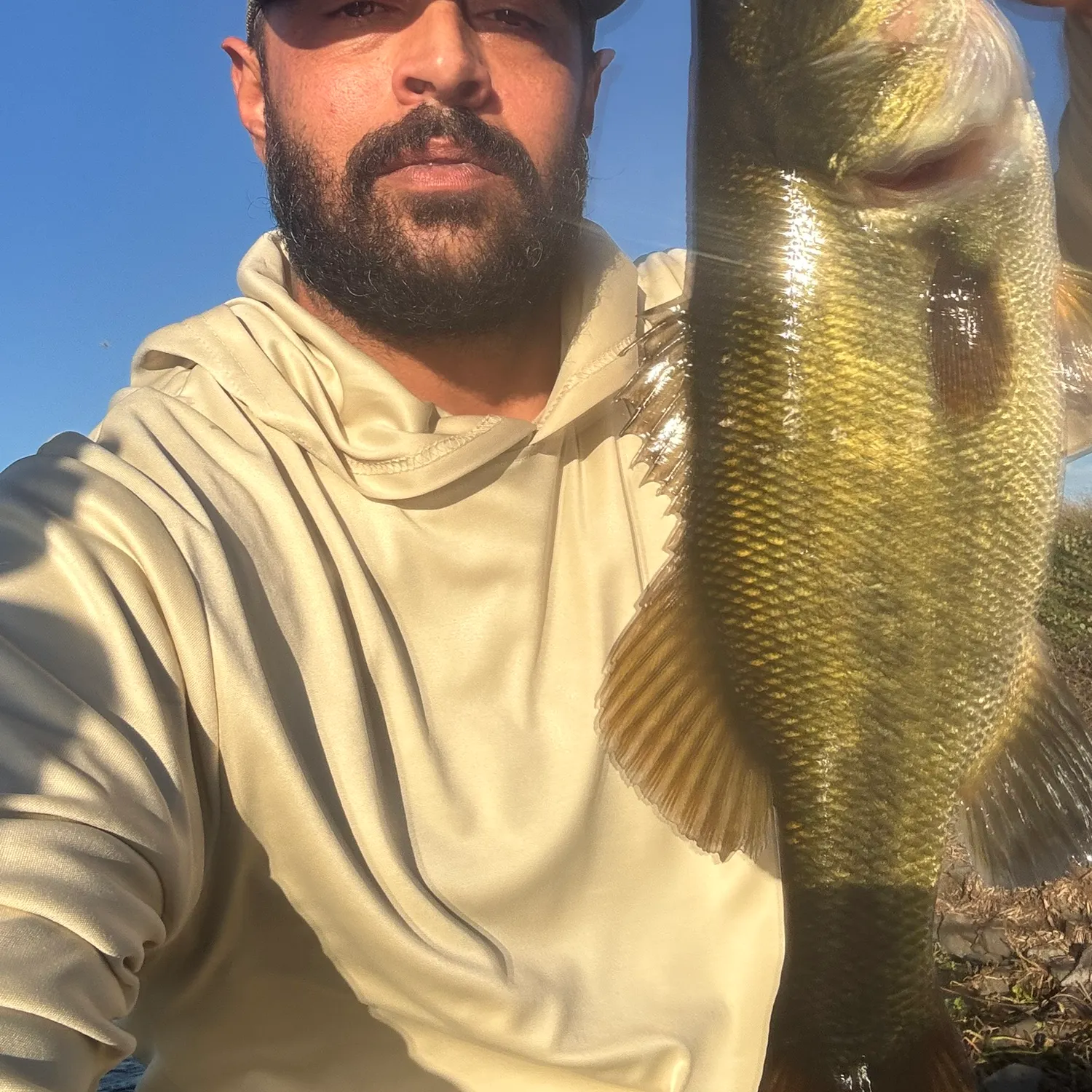 Largemouth bass caught on Fishbrain