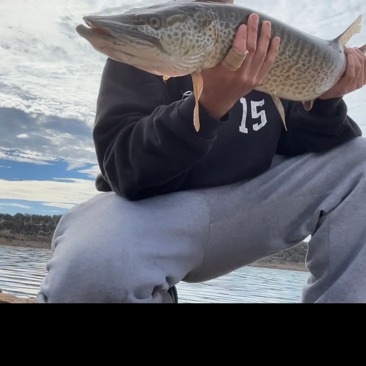 Tiger muskie caught on Fishbrain