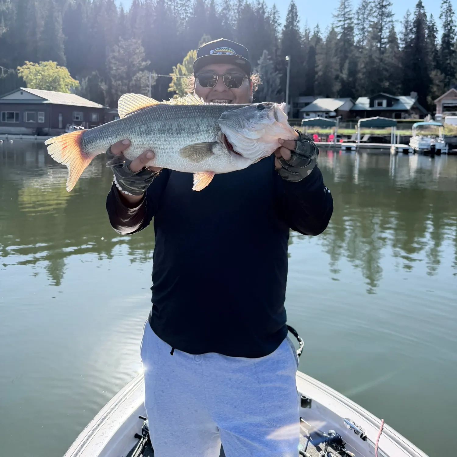 Largemouth bass caught on Fishbrain
