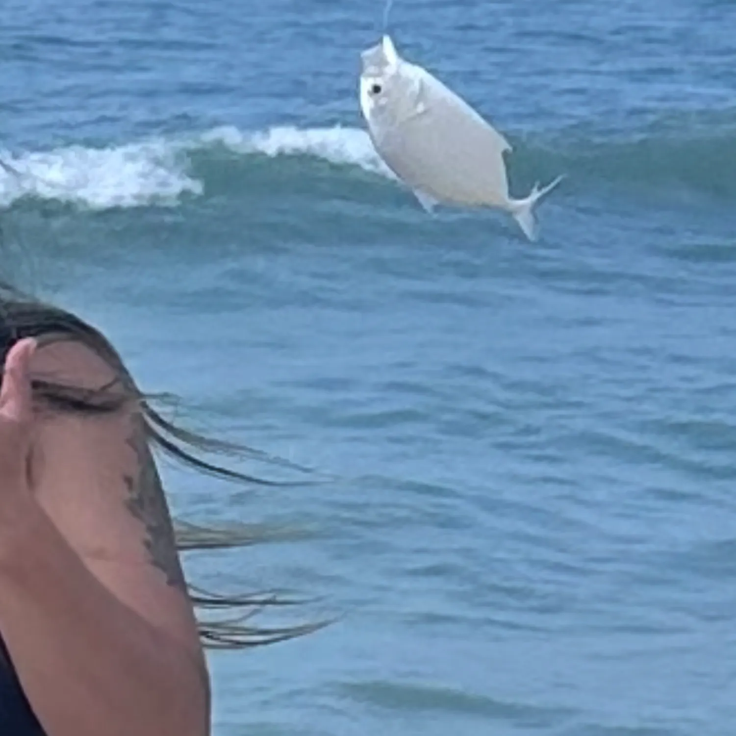 The most recent Longnose trevally catches on Fishbrain