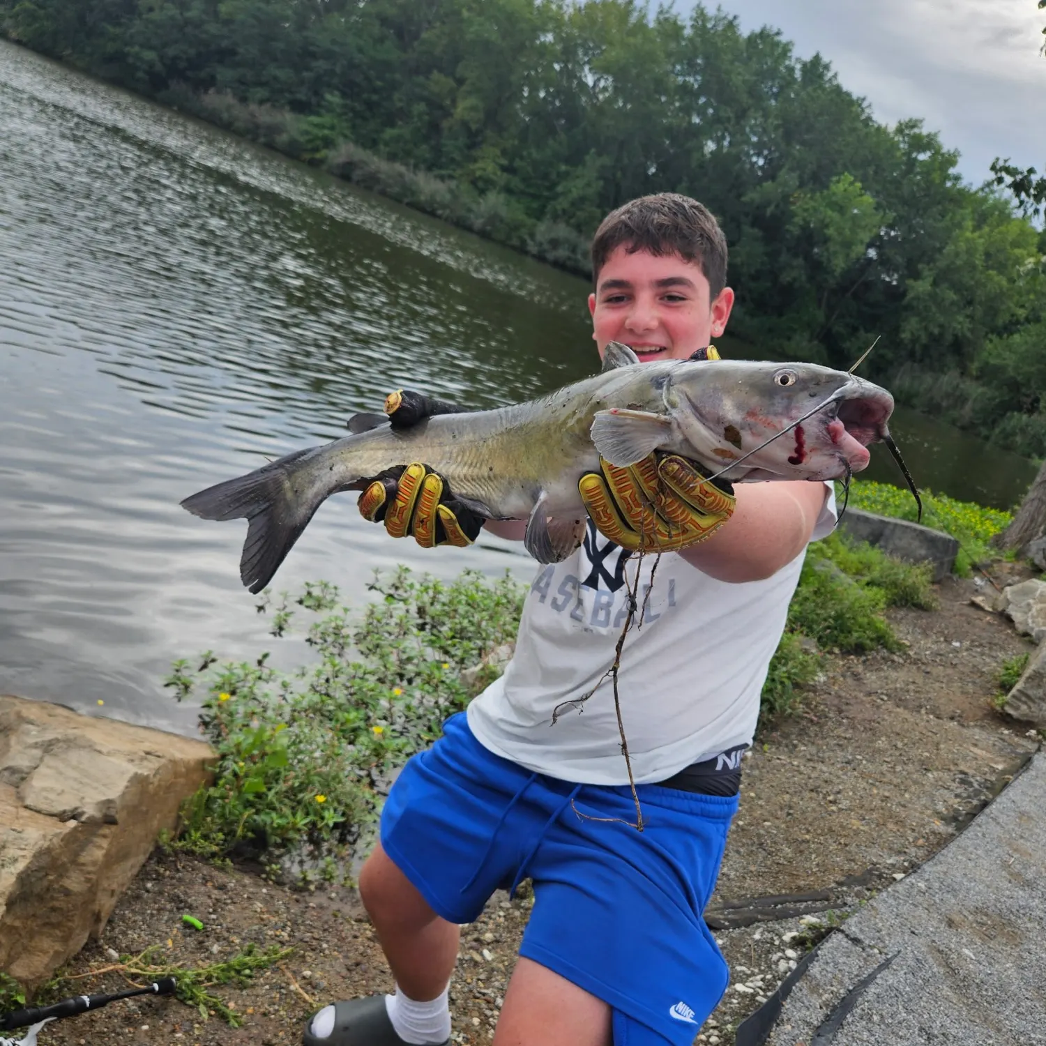 catch