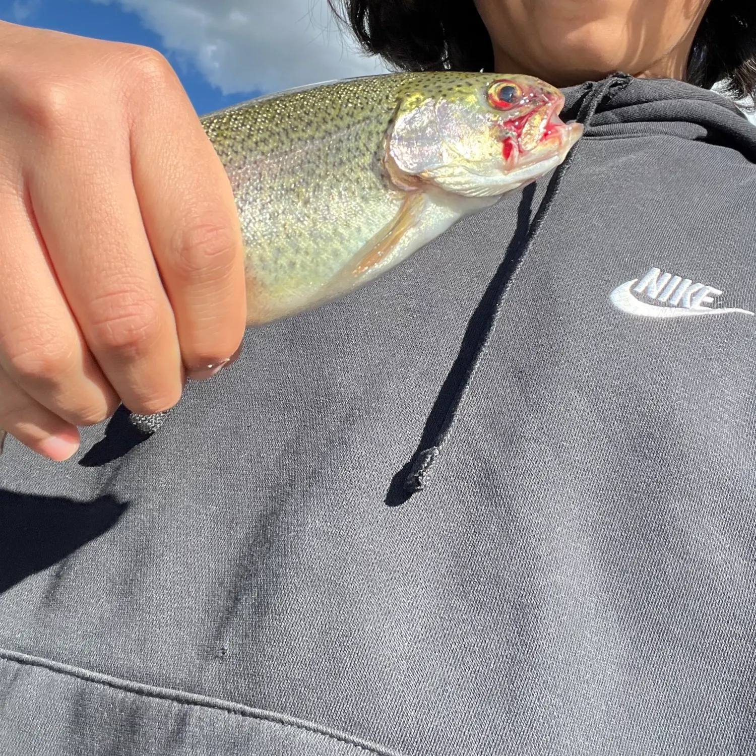 Rainbow trout caught on Fishbrain