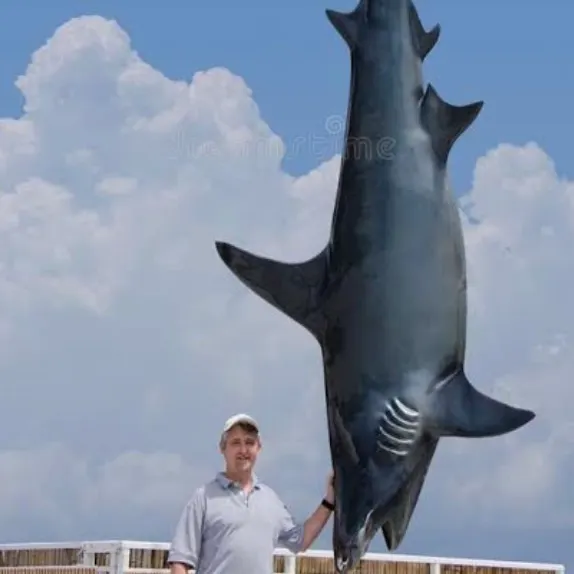 Blacktip shark caught on Fishbrain