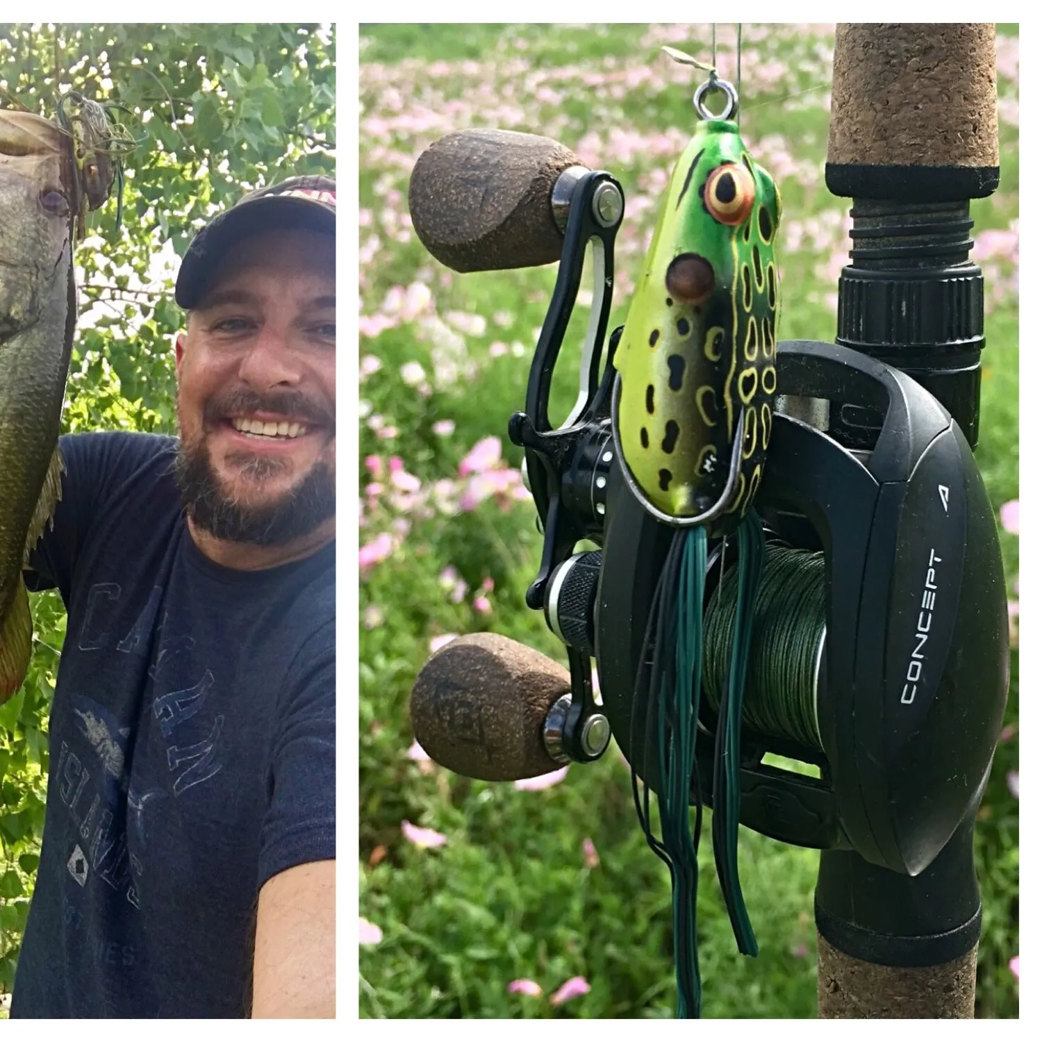 angler catch