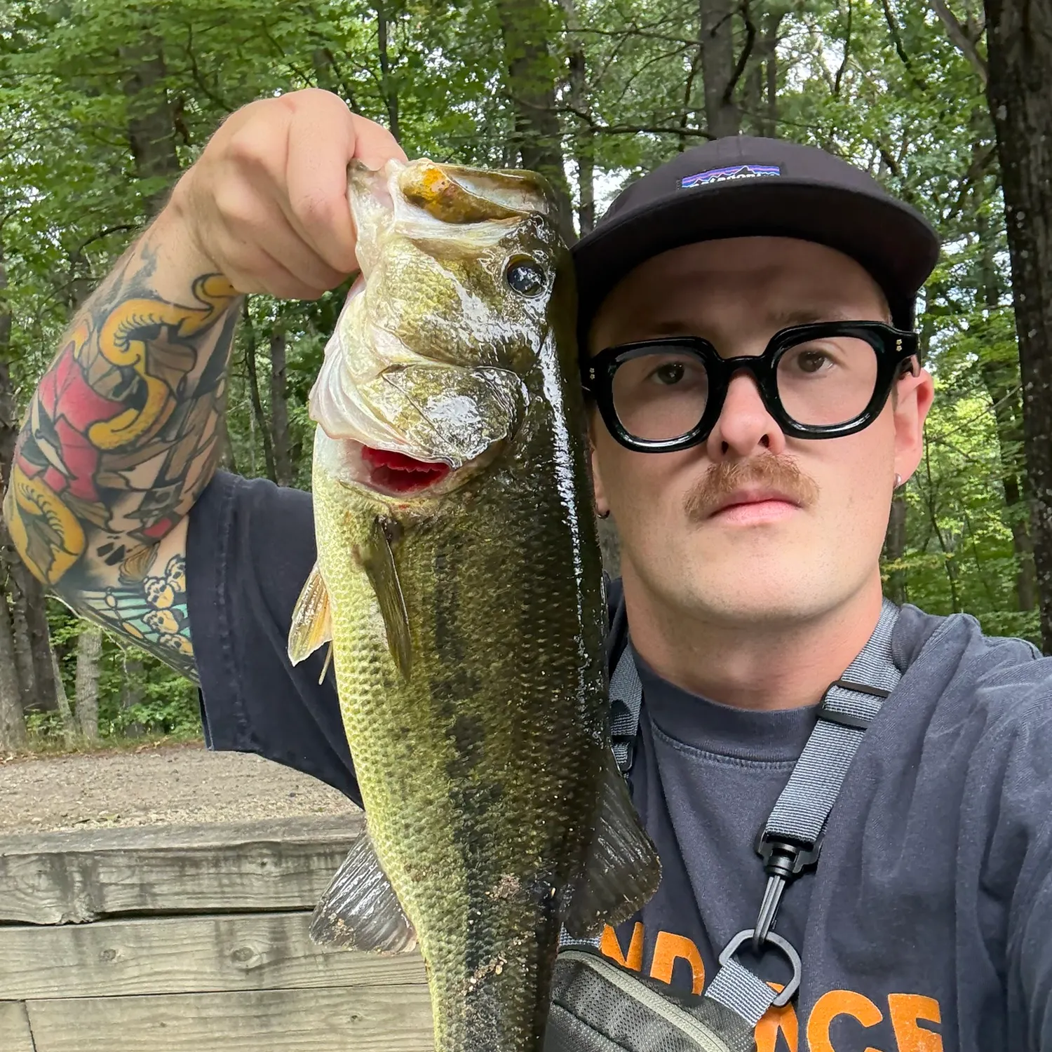 Largemouth bass caught on Fishbrain