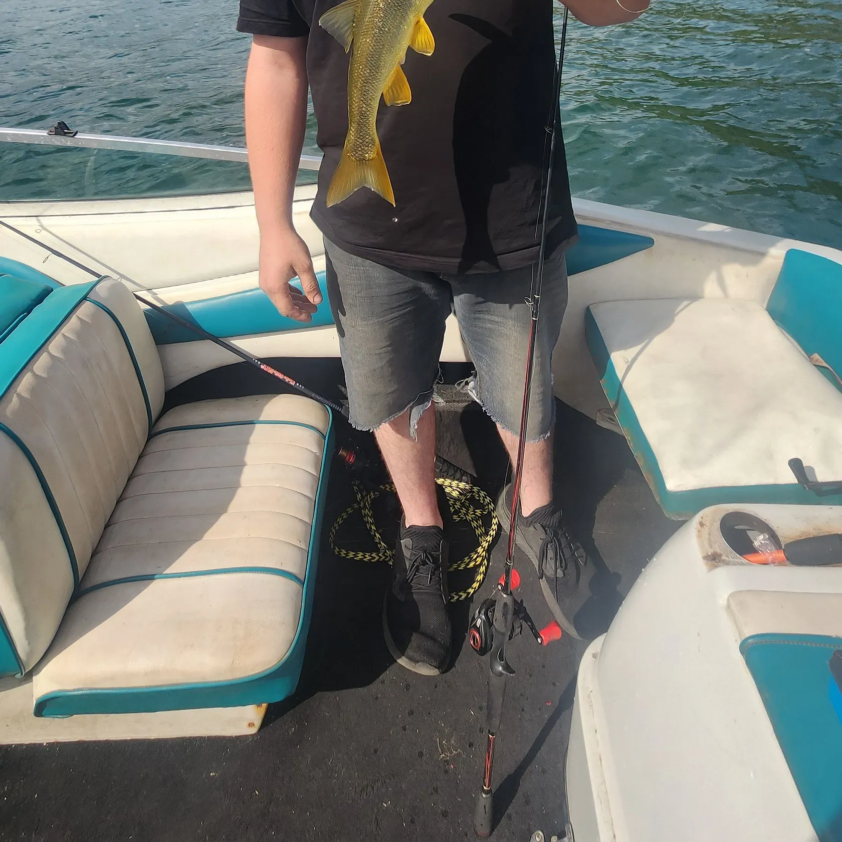 Northern pikeminnow caught on Fishbrain