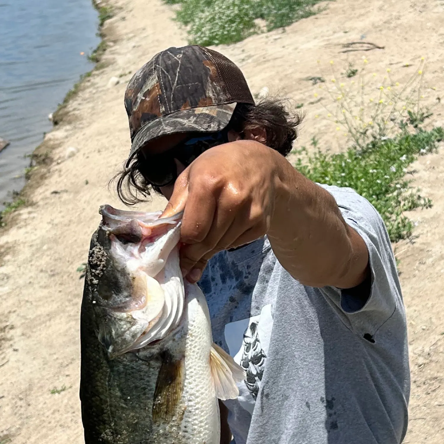 ᐅ Santa Ana River Lakes fishing reports🎣• Anaheim, CA (United States ...