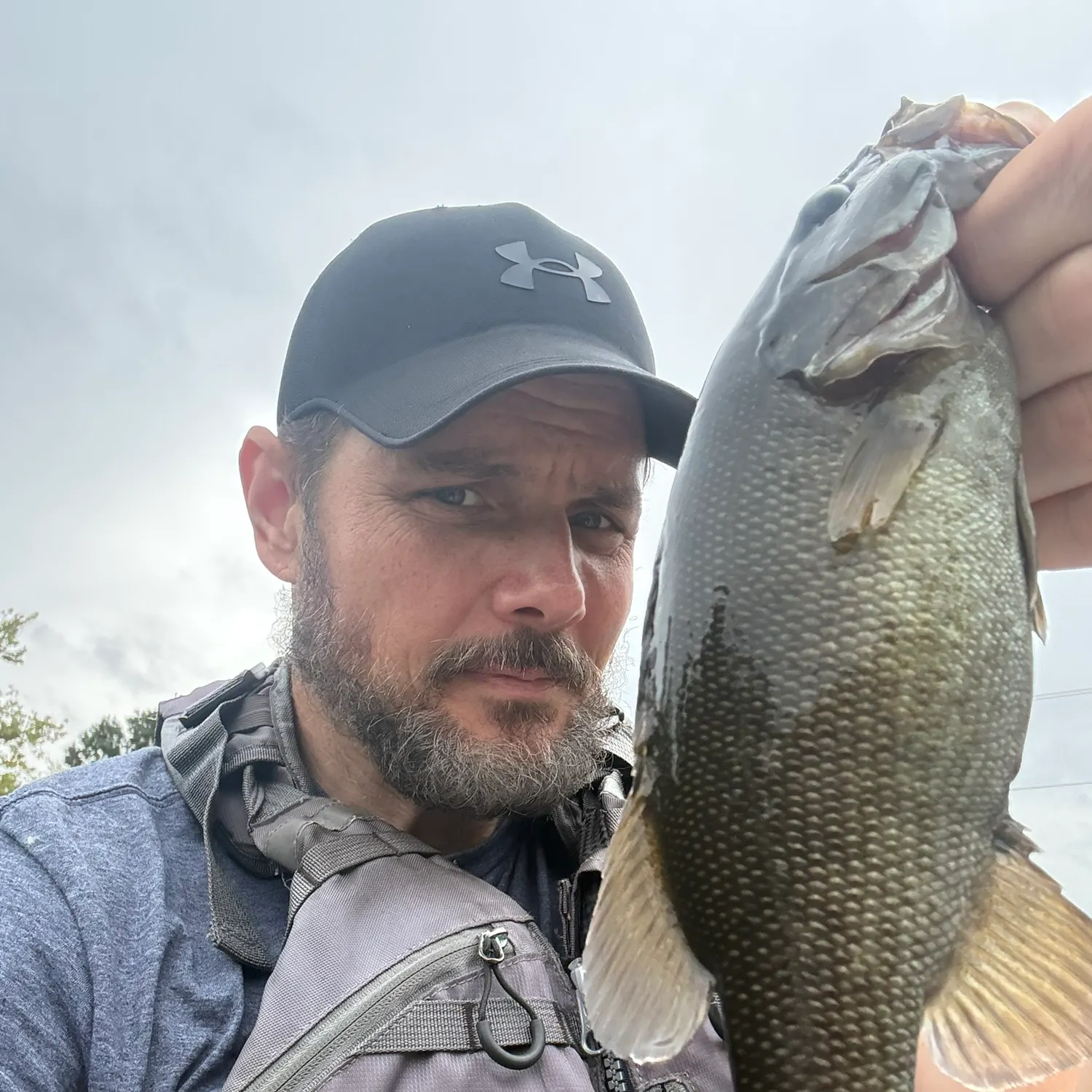 Smallmouth bass caught on Fishbrain