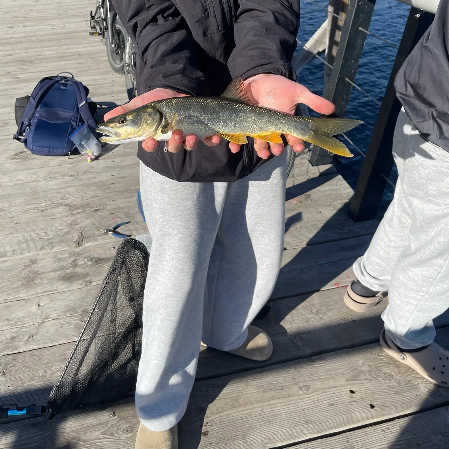 catch