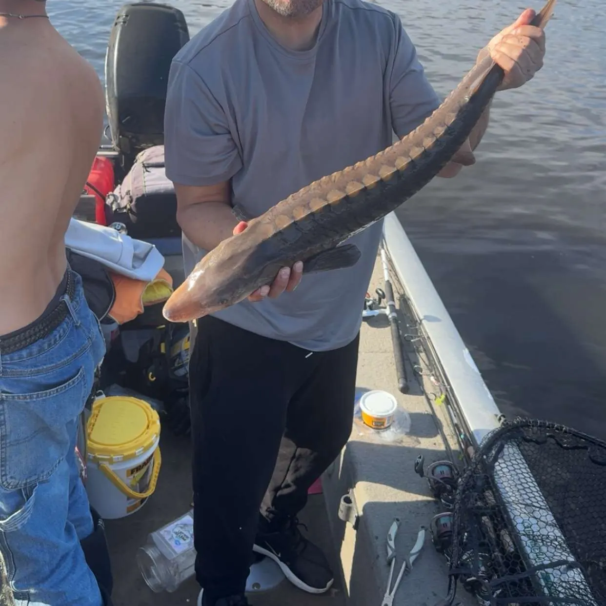 The most recent Lake sturgeon catches on Fishbrain