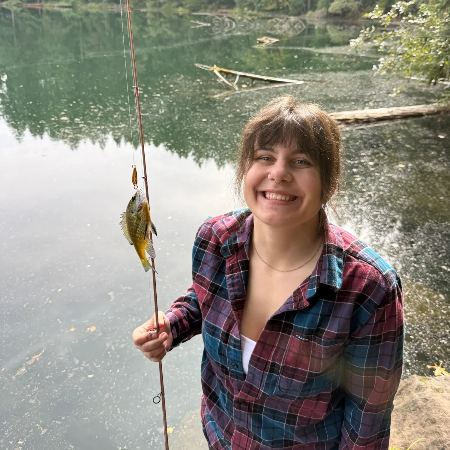 Bluegill caught on Fishbrain