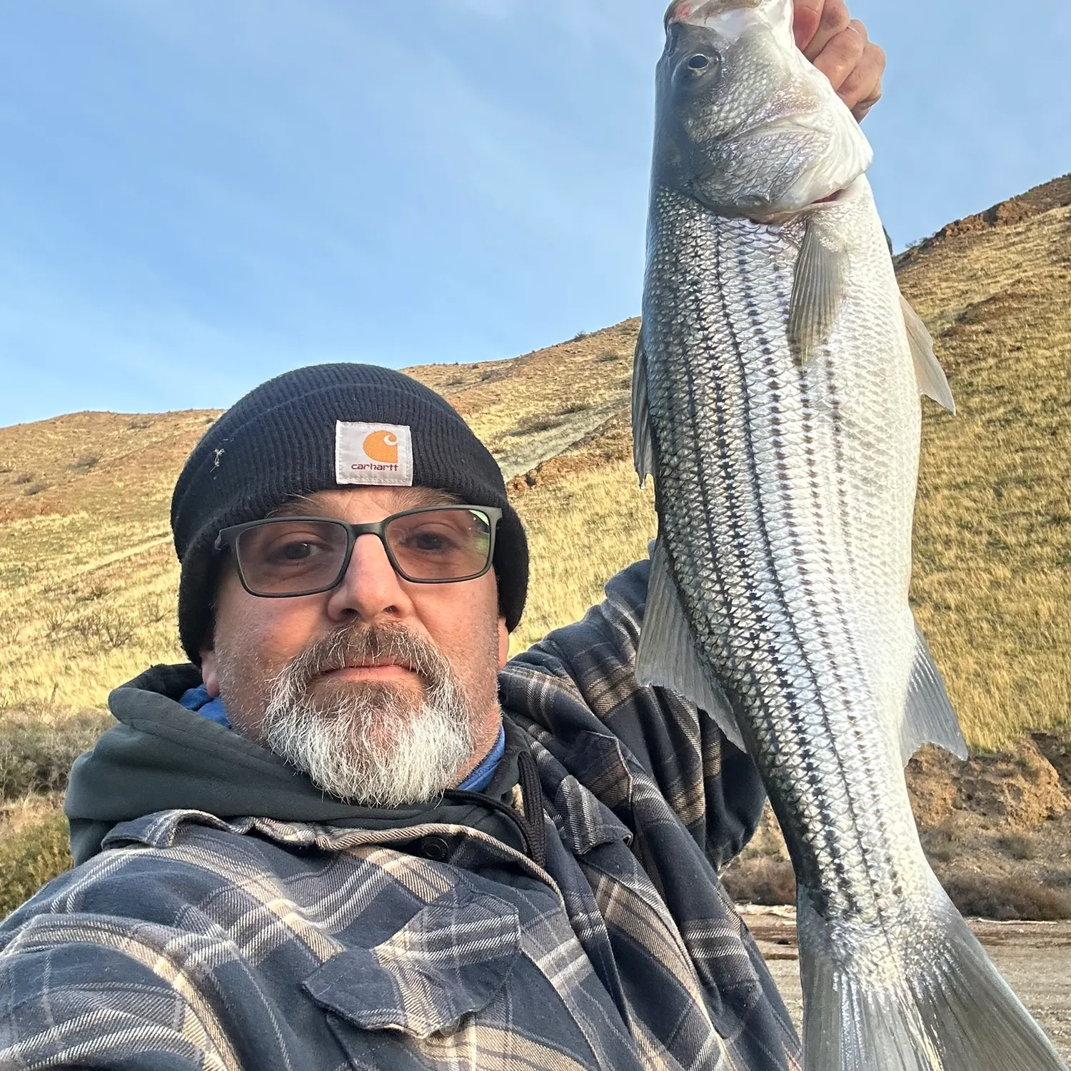 The most recent Striped bass catches on Fishbrain