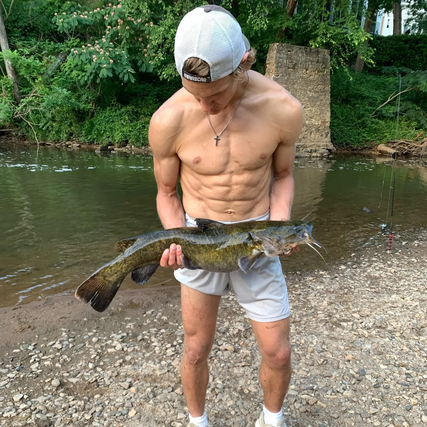 most liked catch image